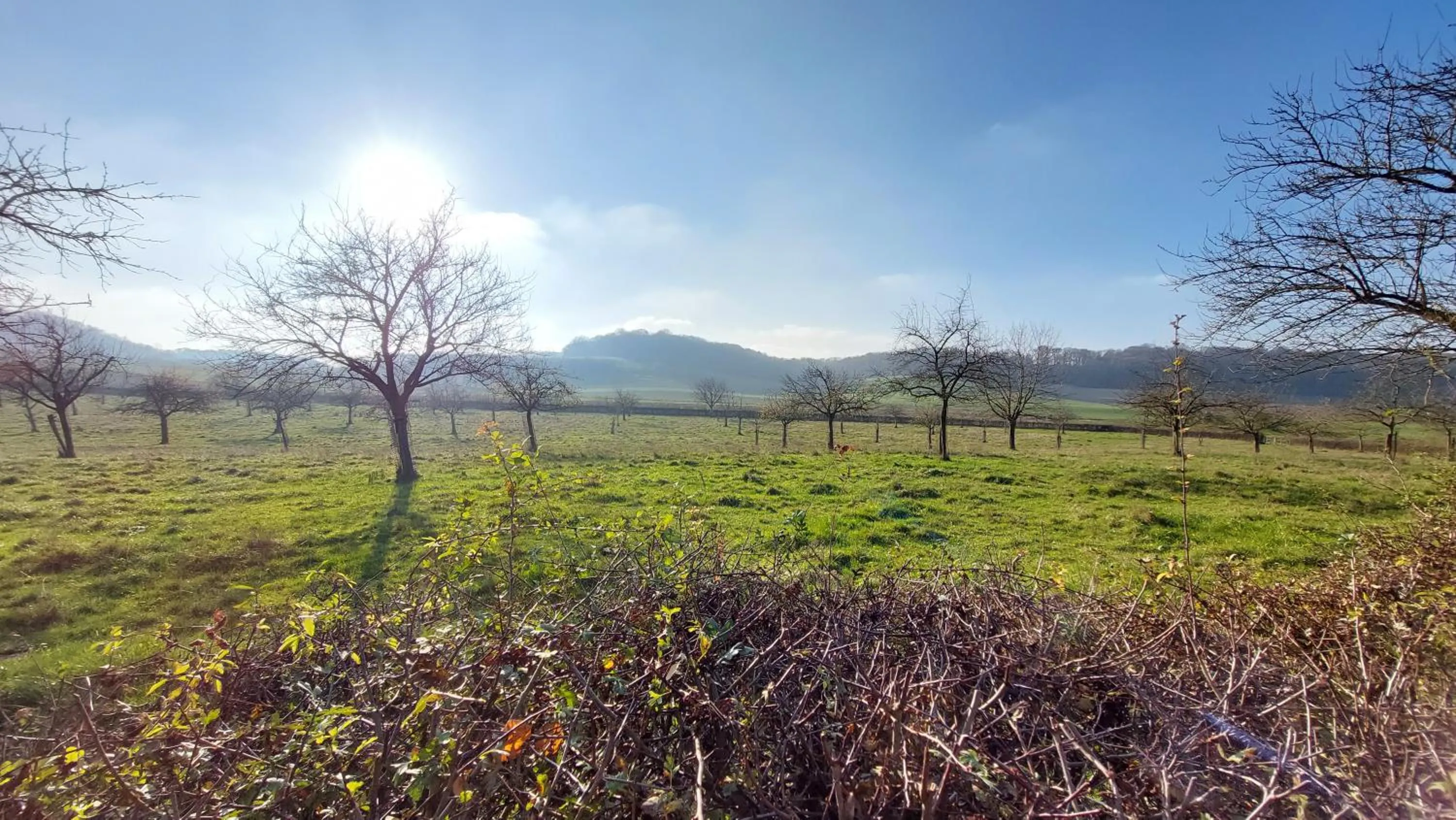 Bed & Breakfast Hotel Het Gerendal