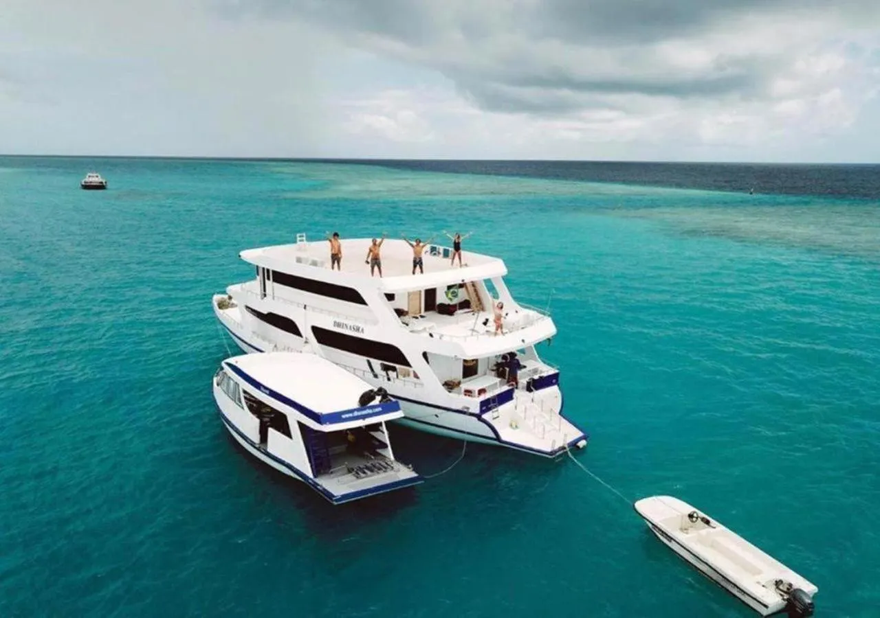 Activities in Surf Trip Maldives