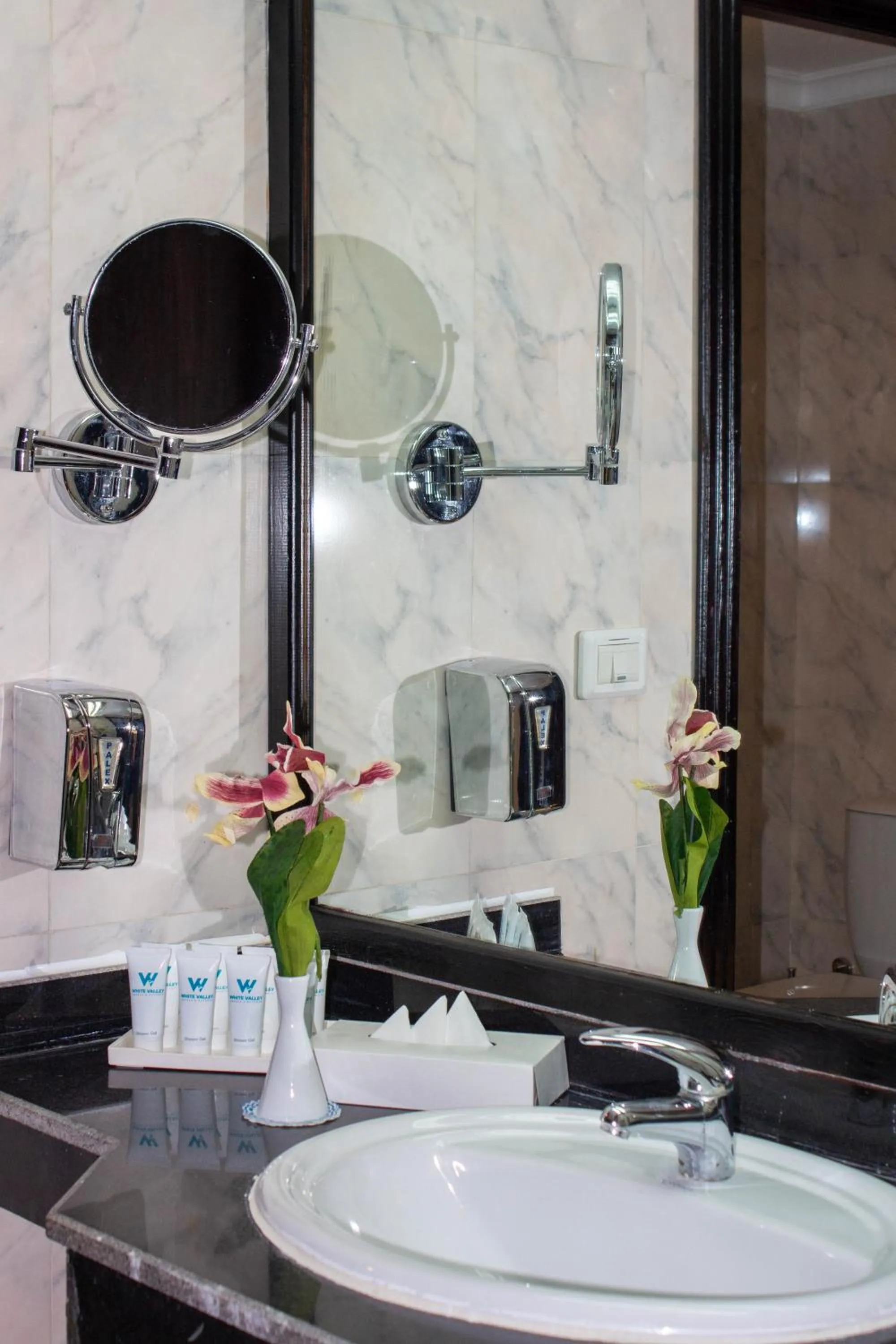 Bathroom in White Valley Palace