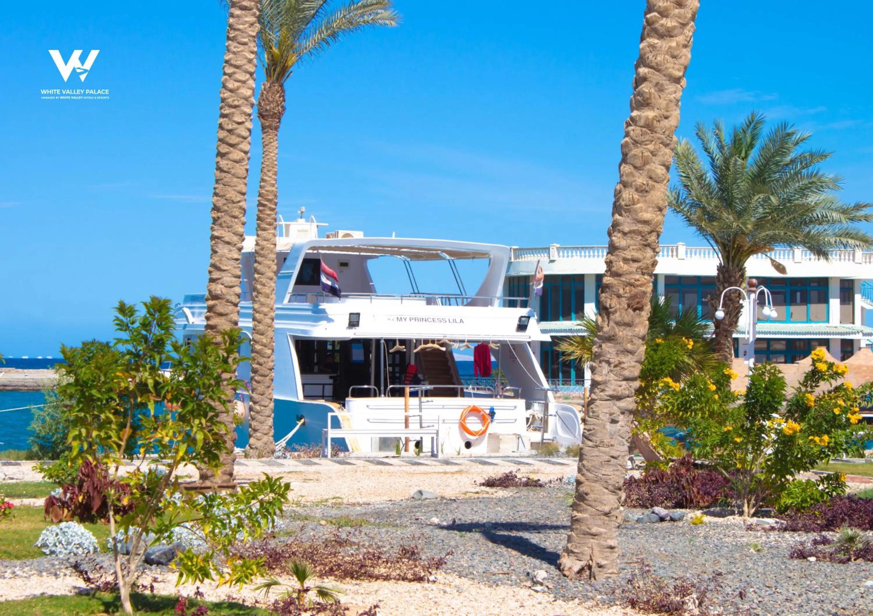 Diving in White Valley Palace