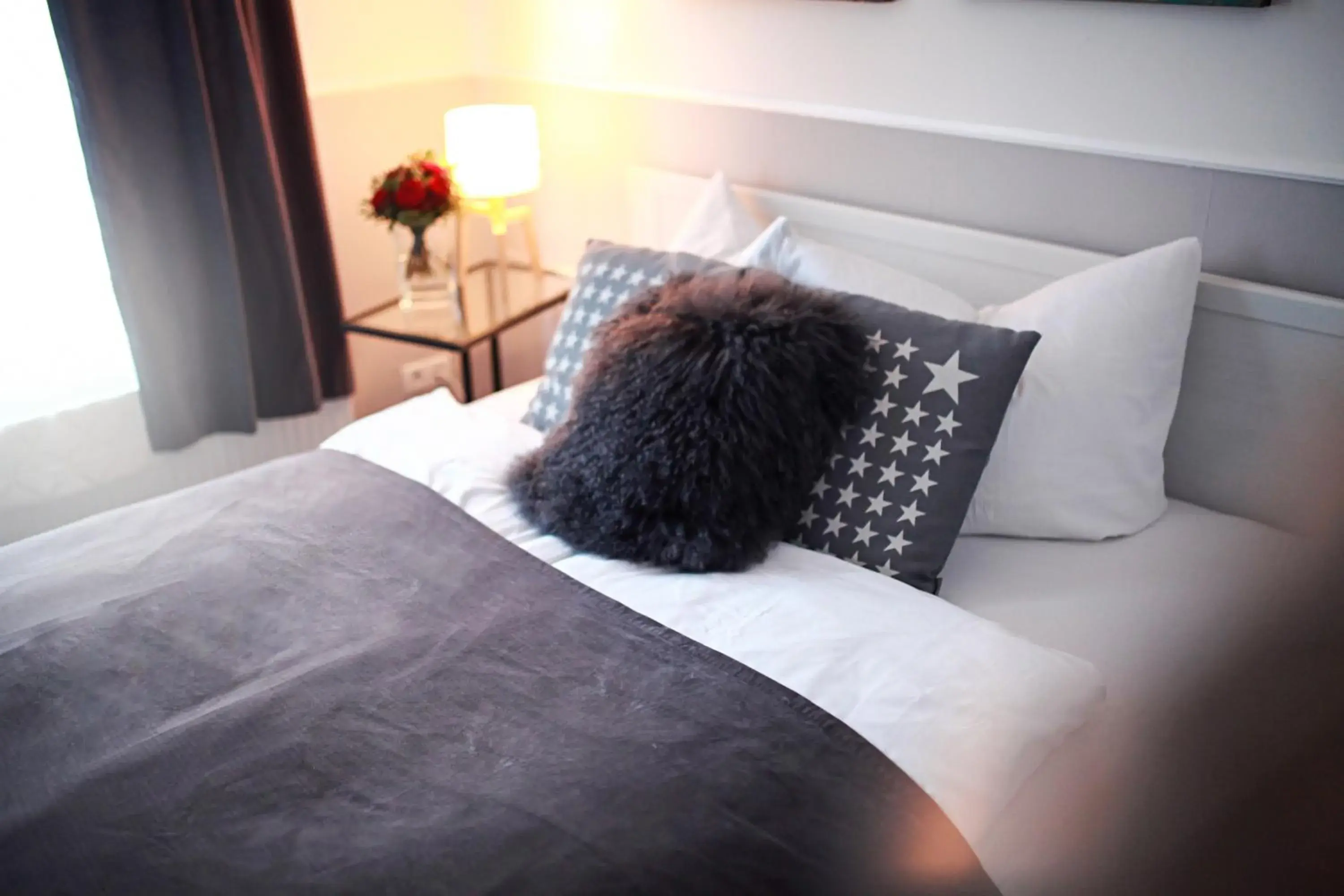 Deluxe Apartment in Hentschels Apartments Deluxe Apartment in Hentschels Apartments