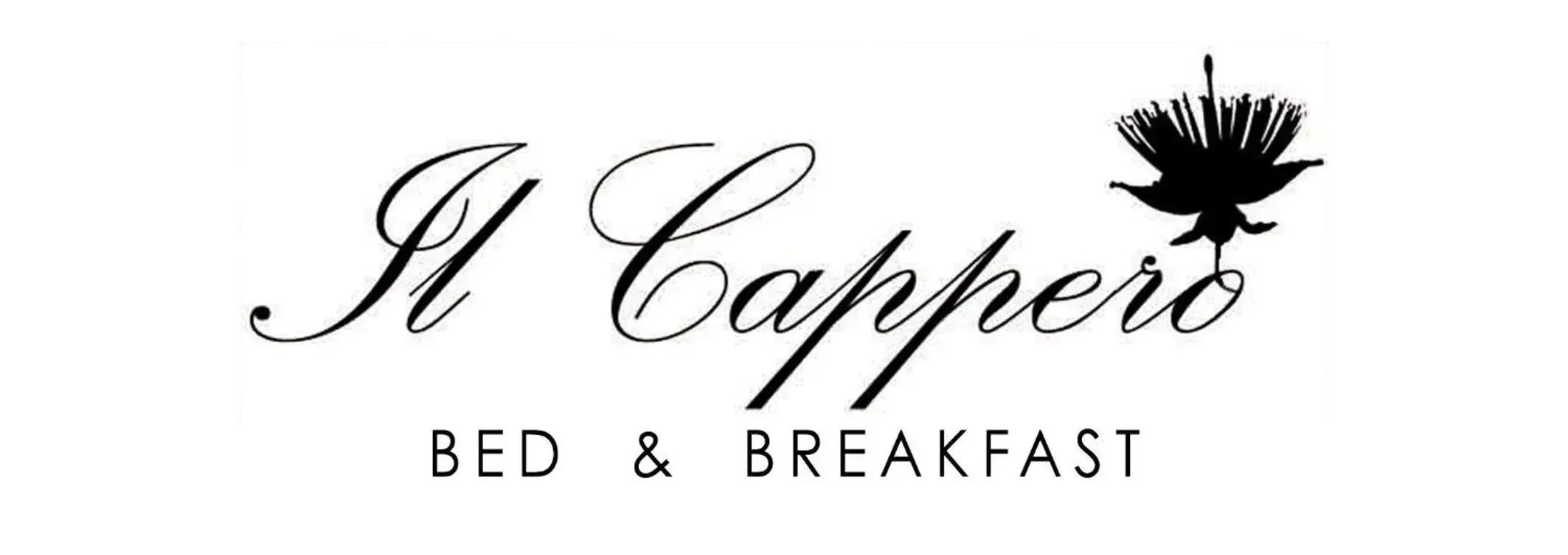 Bed and Breakfast Il Cappero Bed and Breakfast Il Cappero