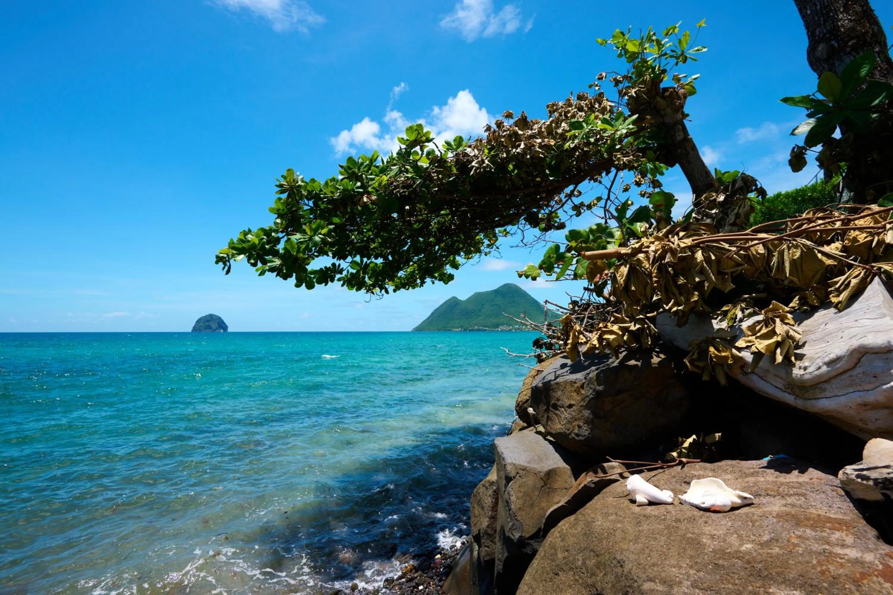 Natural landscape in Diamant Beach