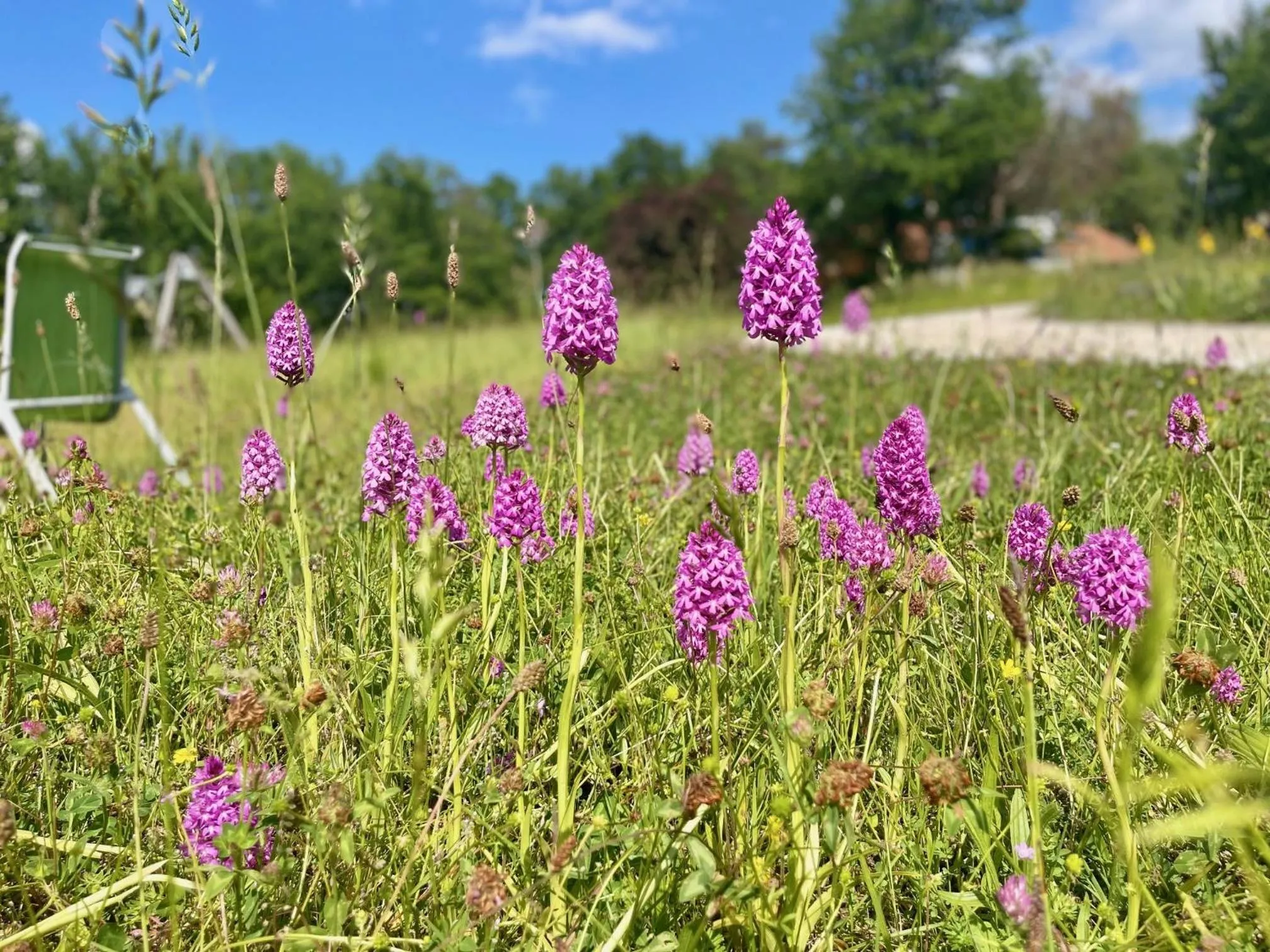 Property building in Le Village Enchanteur