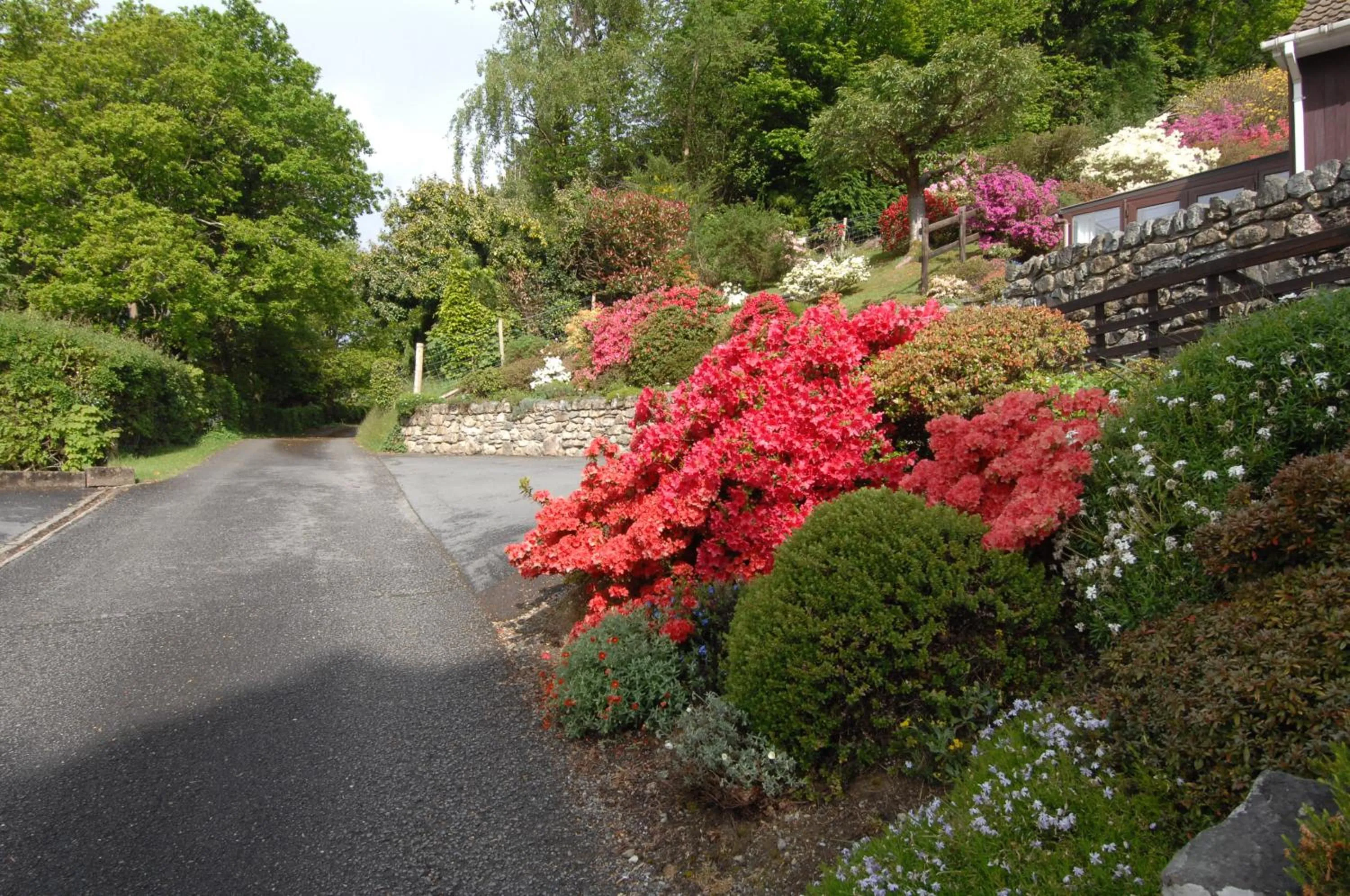 Dwy Olwyn