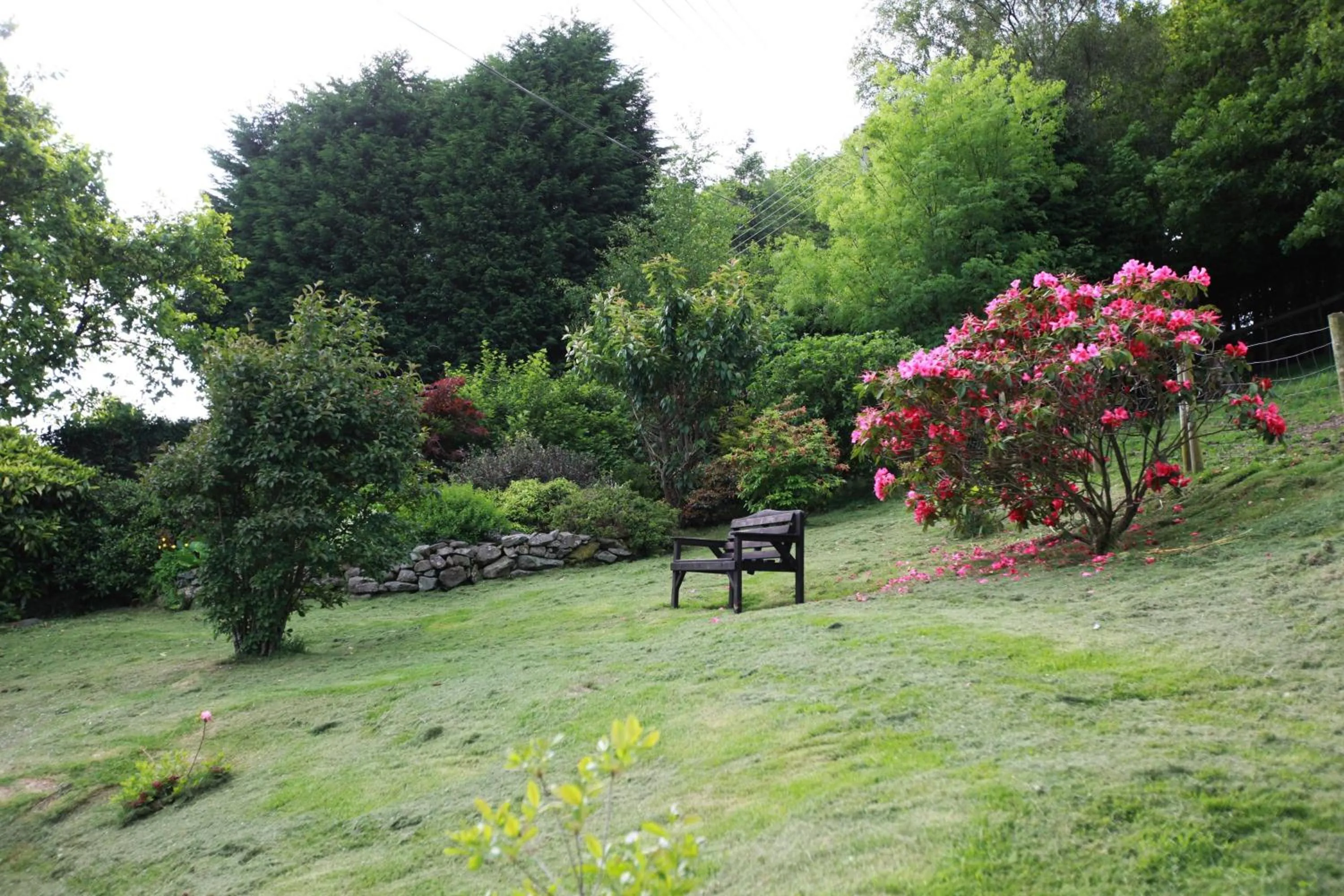 Garden in Dwy Olwyn