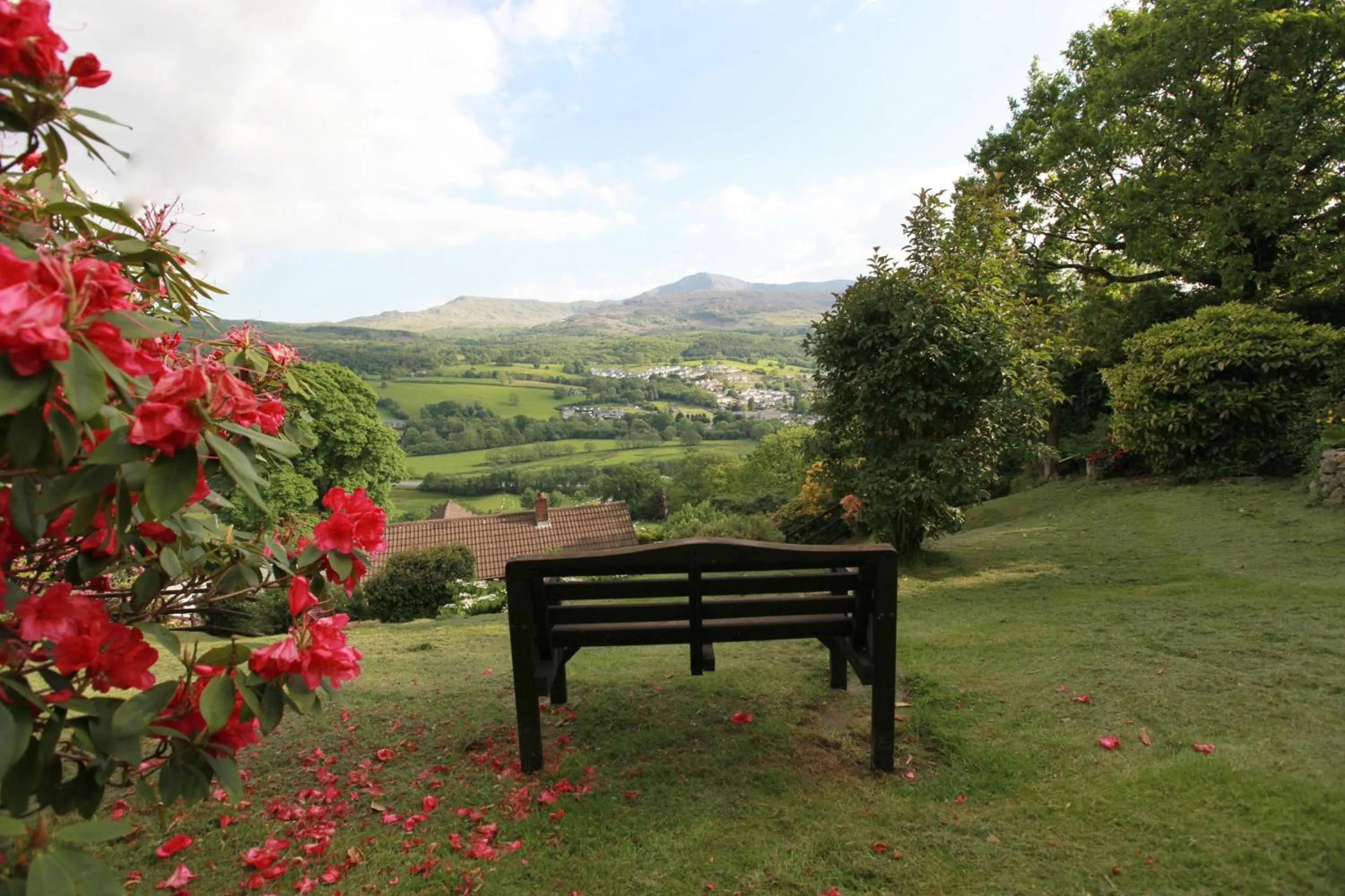 Garden in Dwy Olwyn