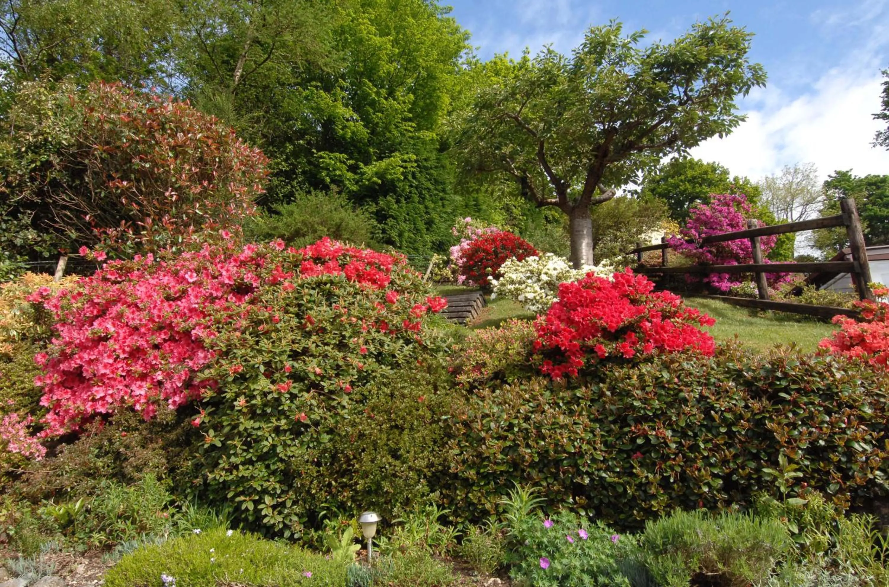 Garden in Dwy Olwyn