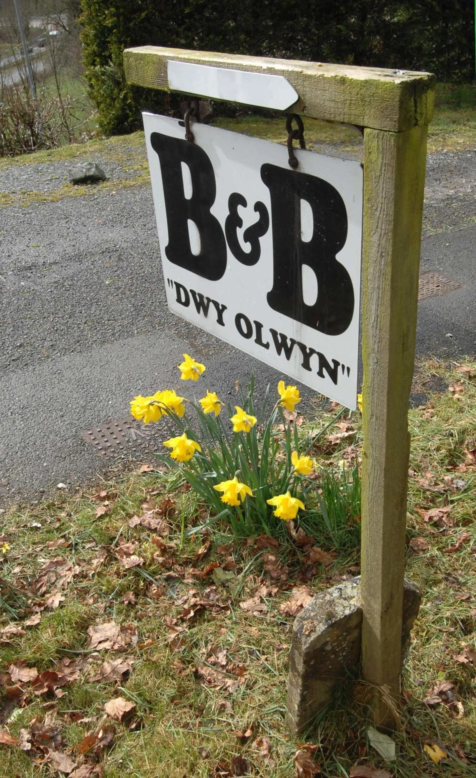 Property logo or sign in Dwy Olwyn