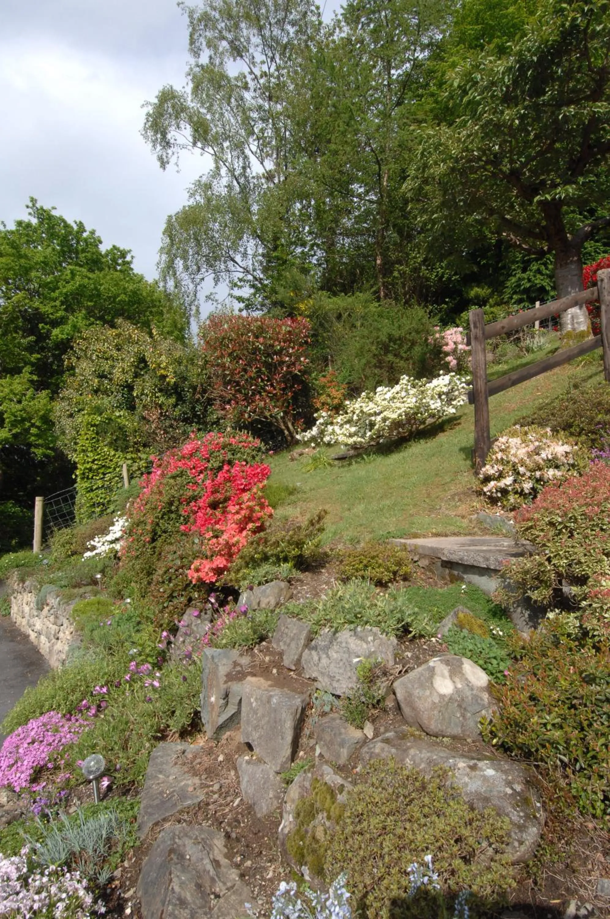 Dwy Olwyn