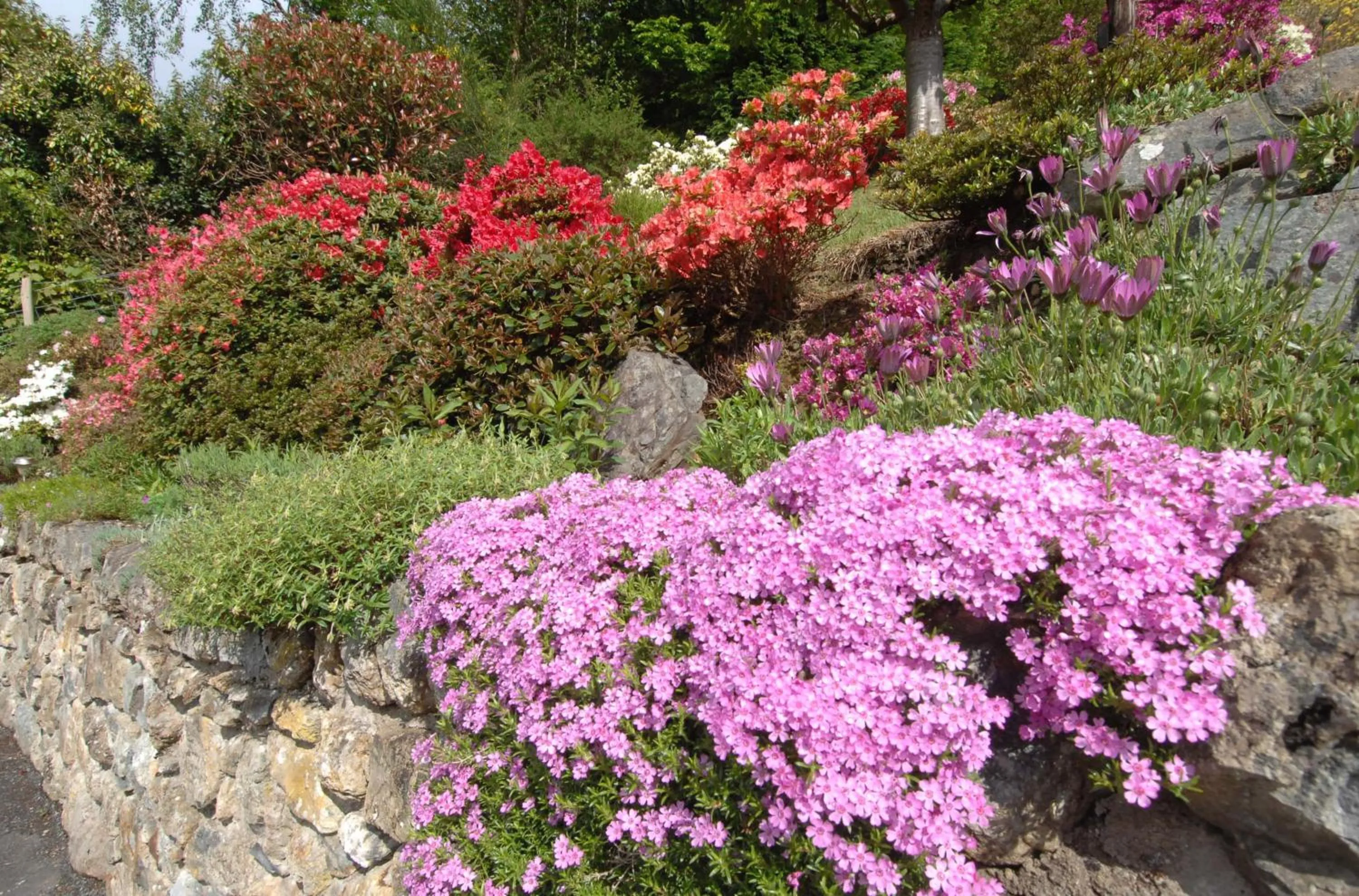 Garden in Dwy Olwyn
