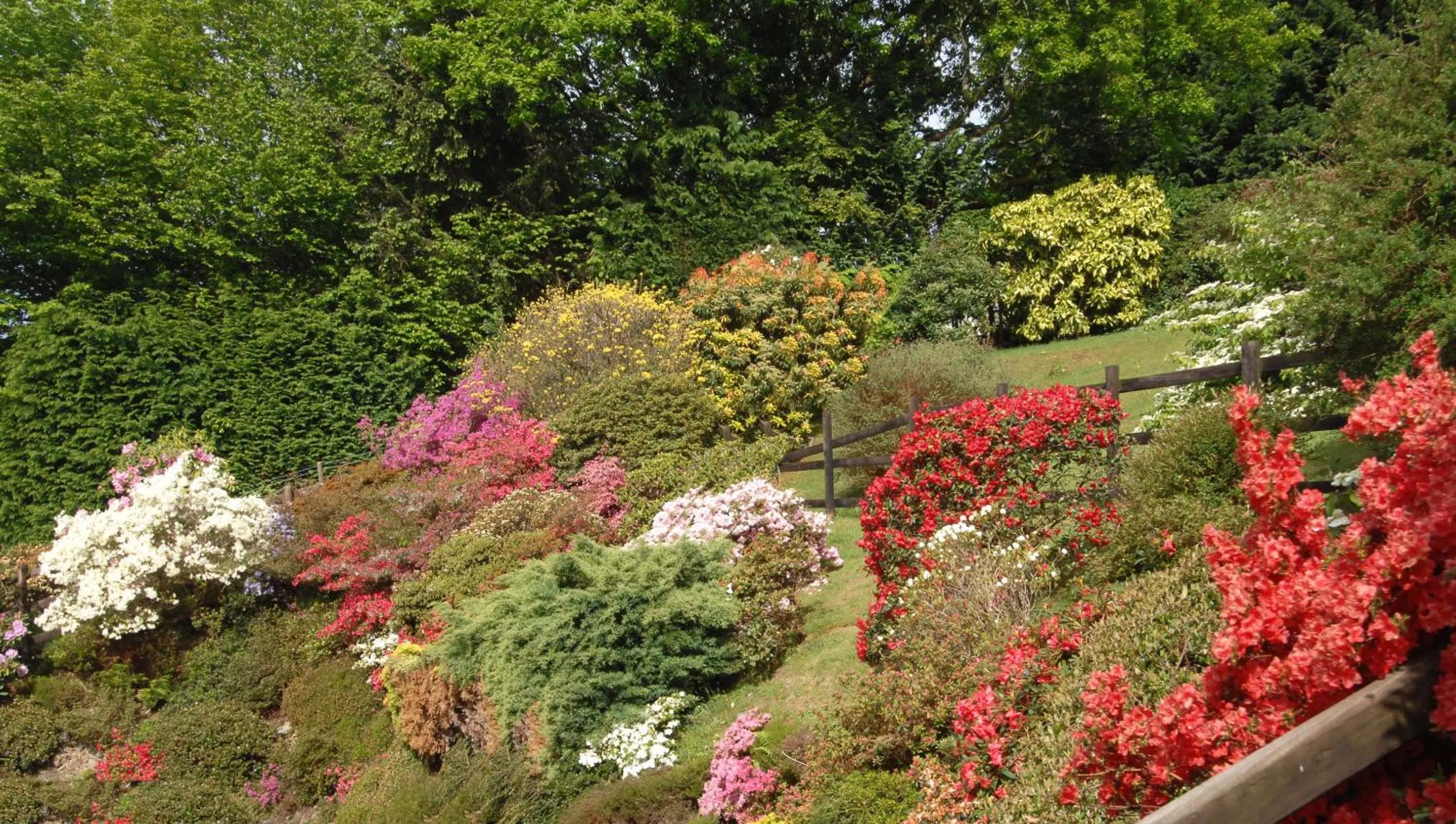 Garden in Dwy Olwyn