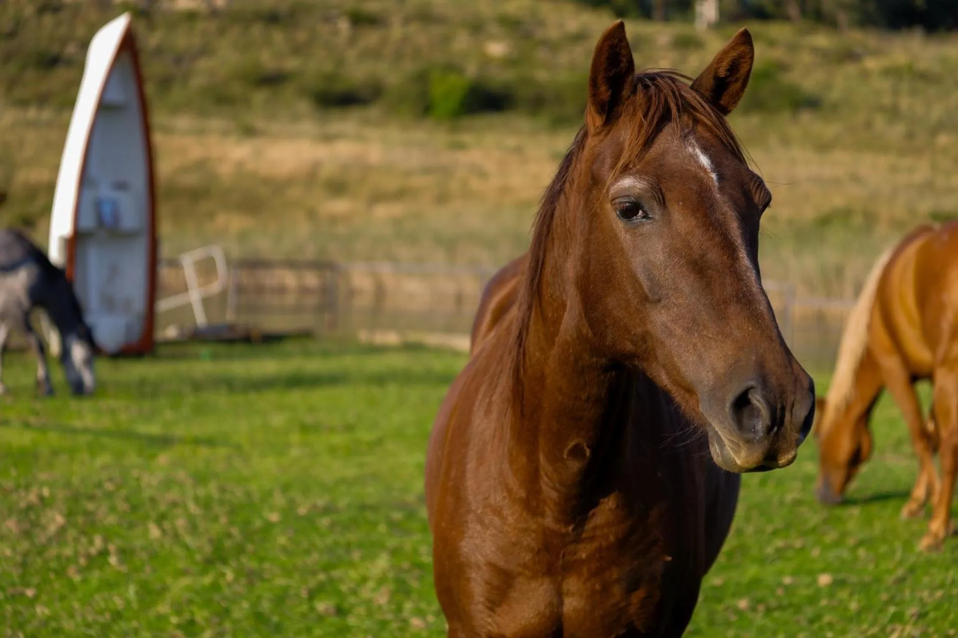 Horse-riding in First Group Qwantani