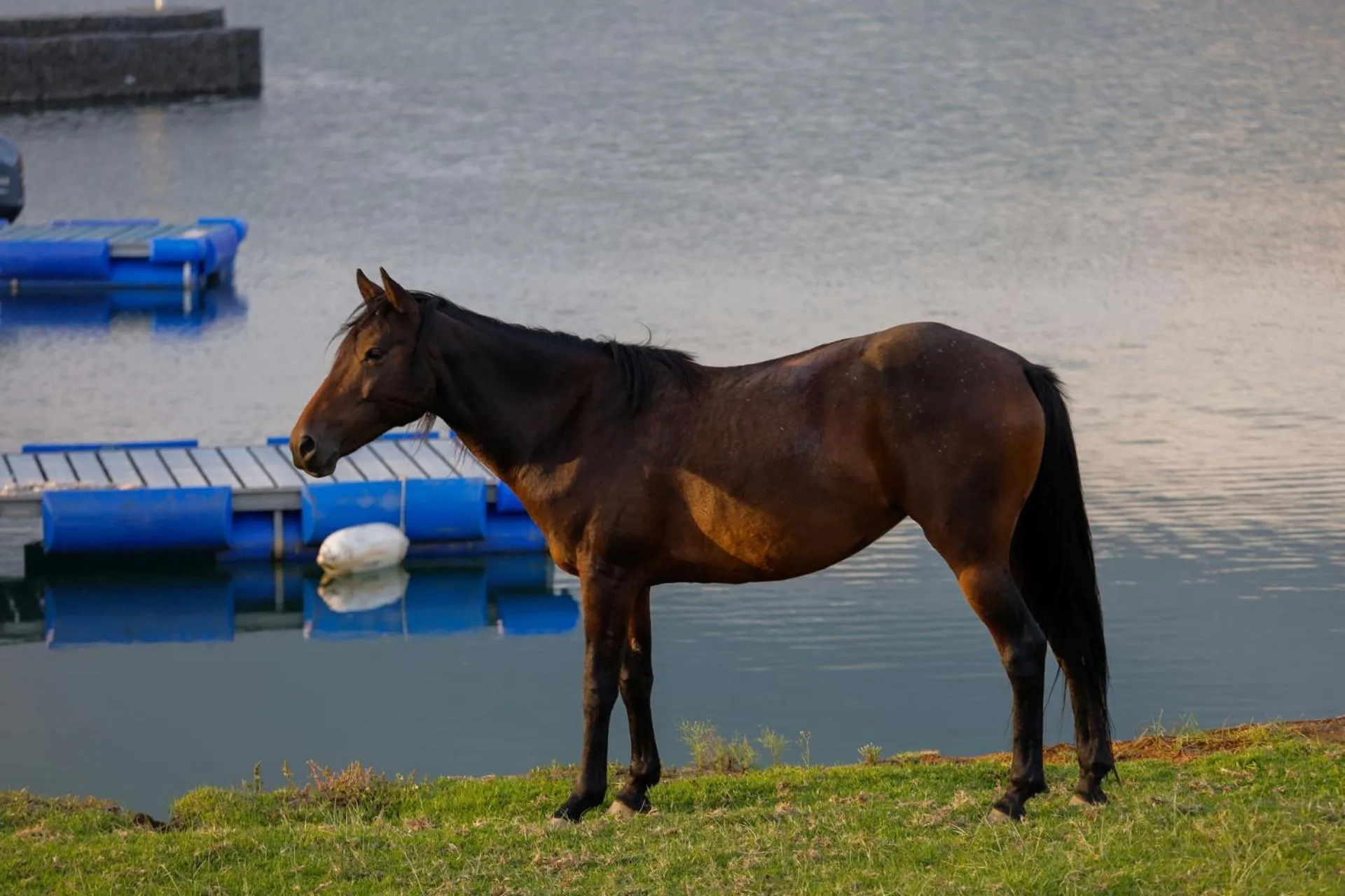 Horse-riding in First Group Qwantani