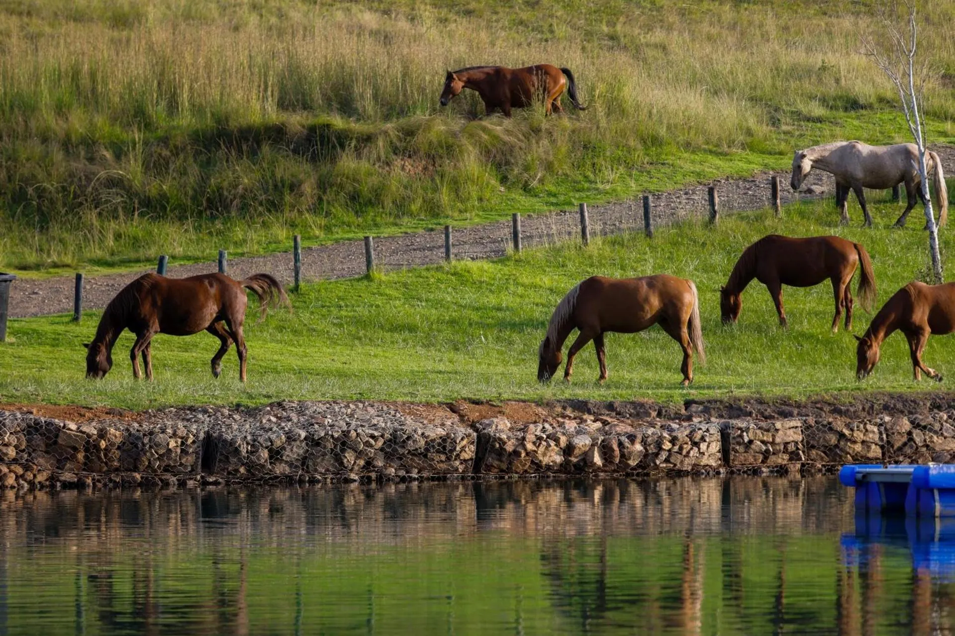 Horse-riding in First Group Qwantani