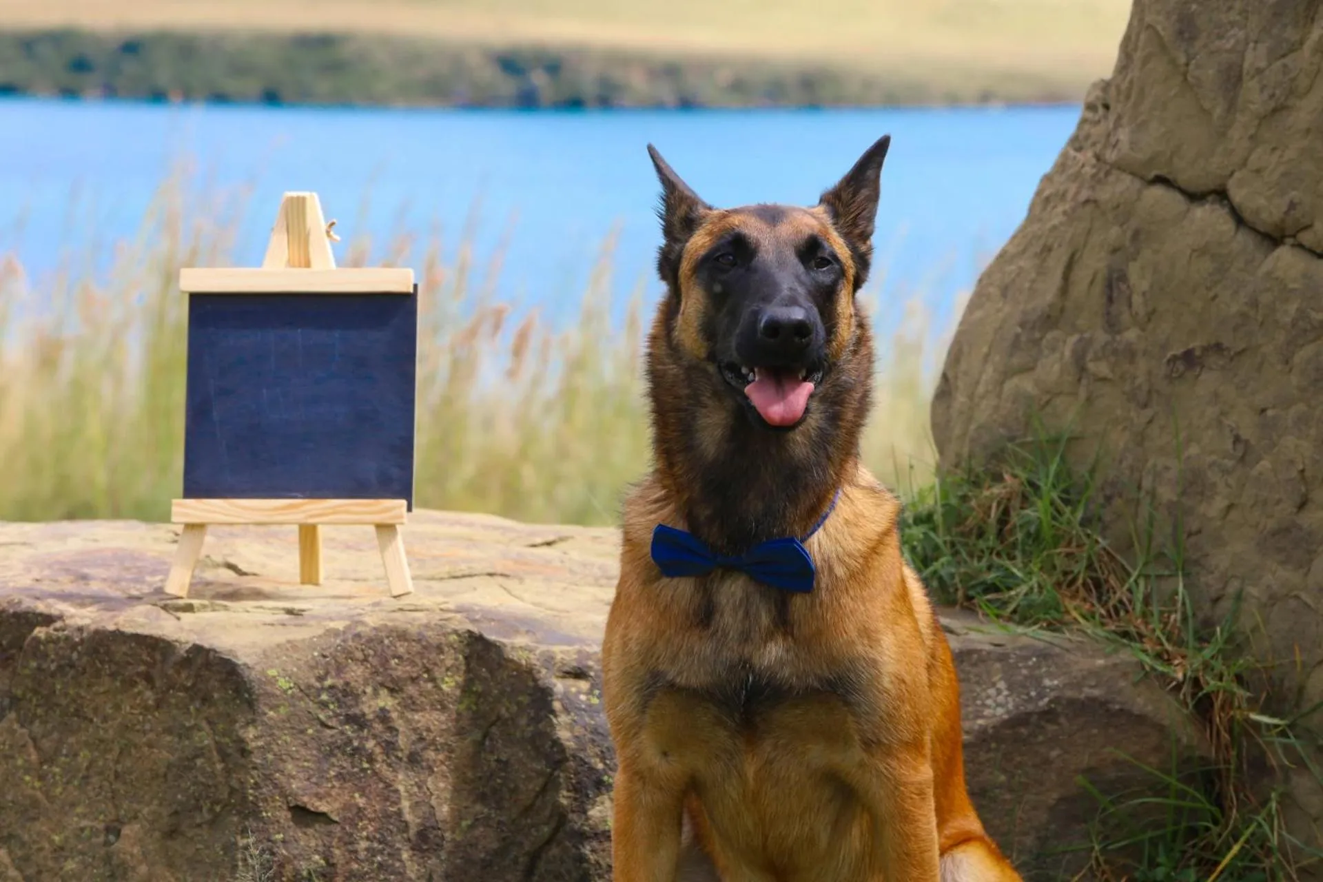 pet friendly in First Group Qwantani