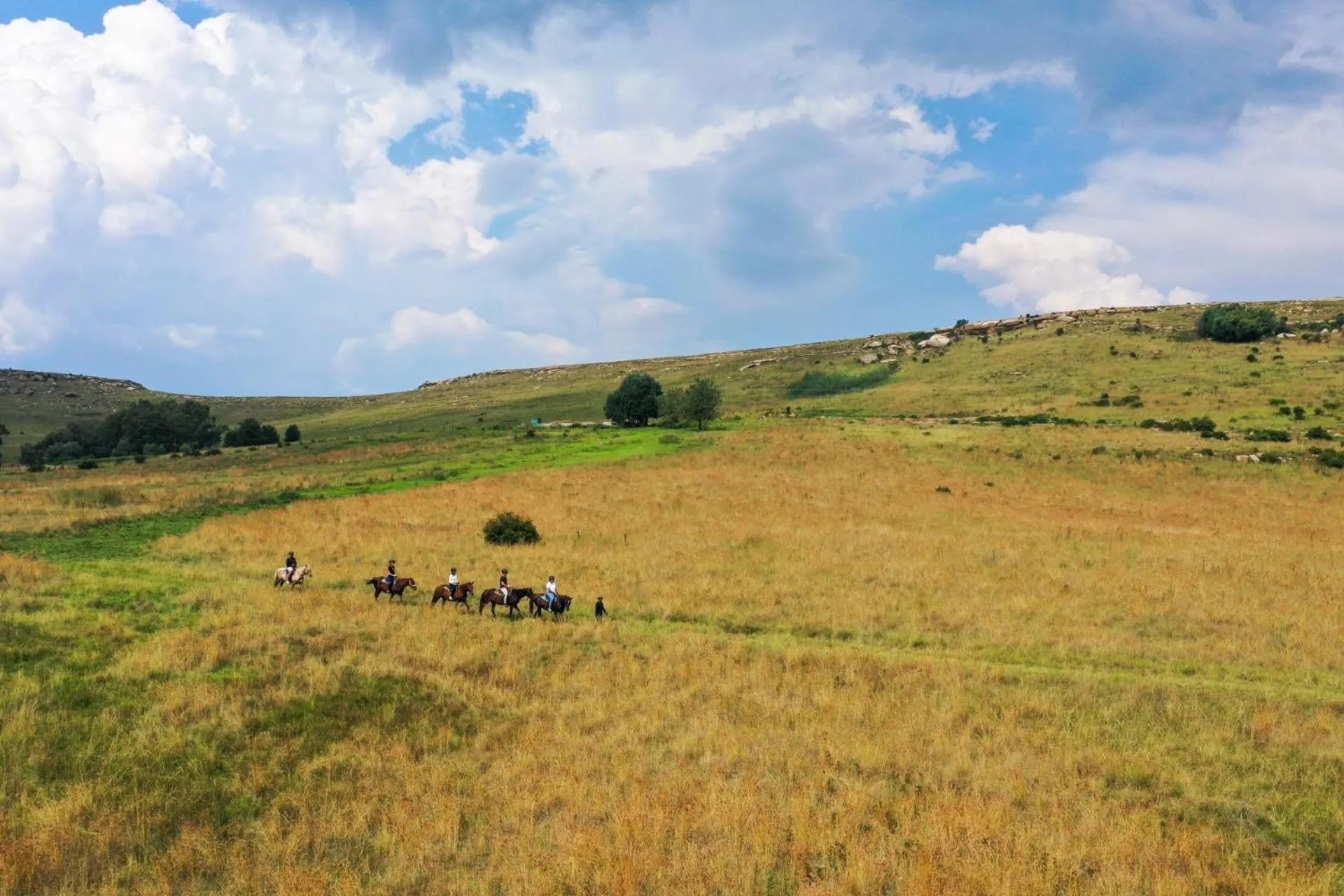 Horse-riding in First Group Qwantani