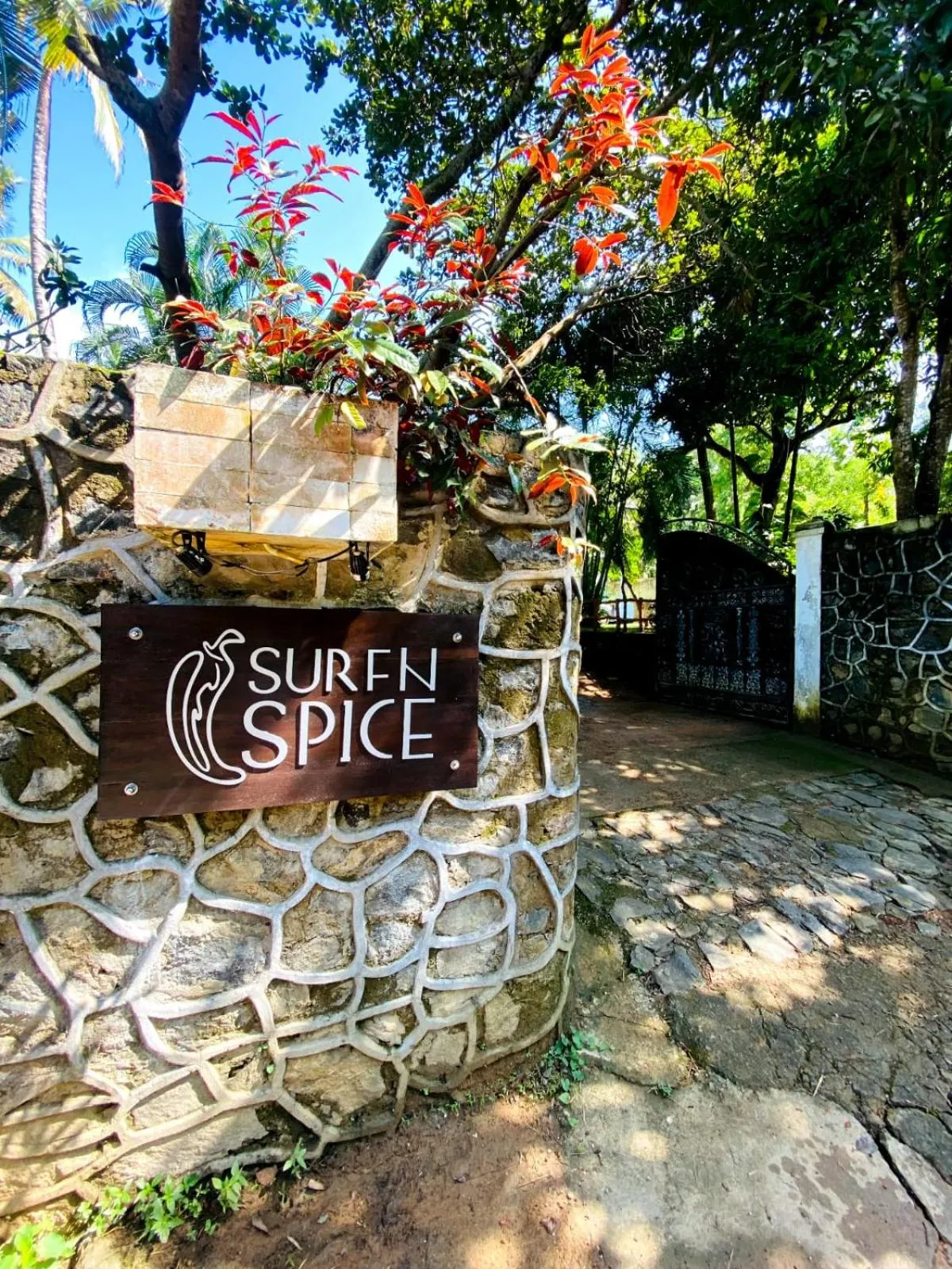 Property logo or sign in SURF N SPICE - HIRIKETiYA