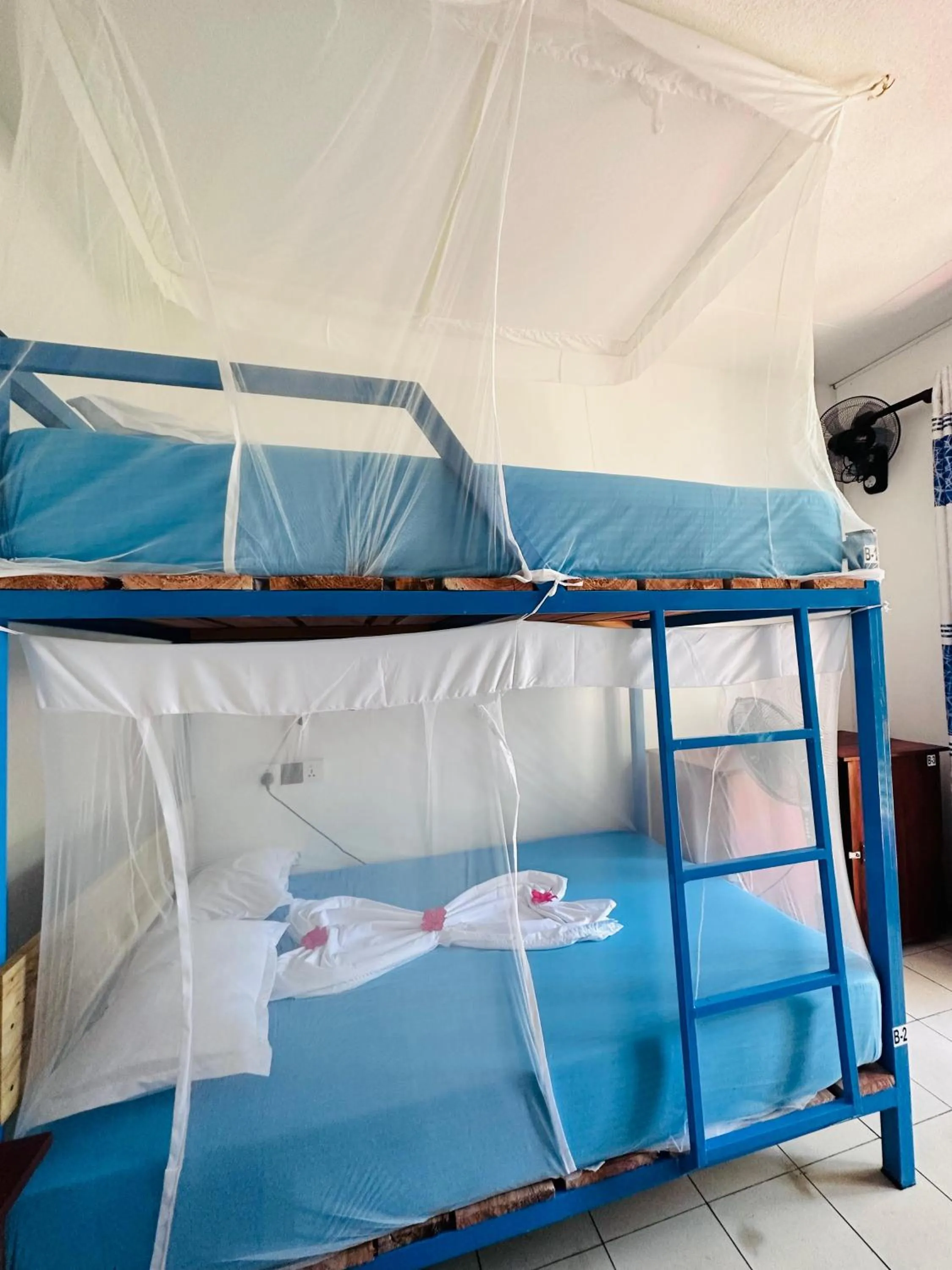 bunk bed, Bed in SURF N SPICE - HIRIKETiYA