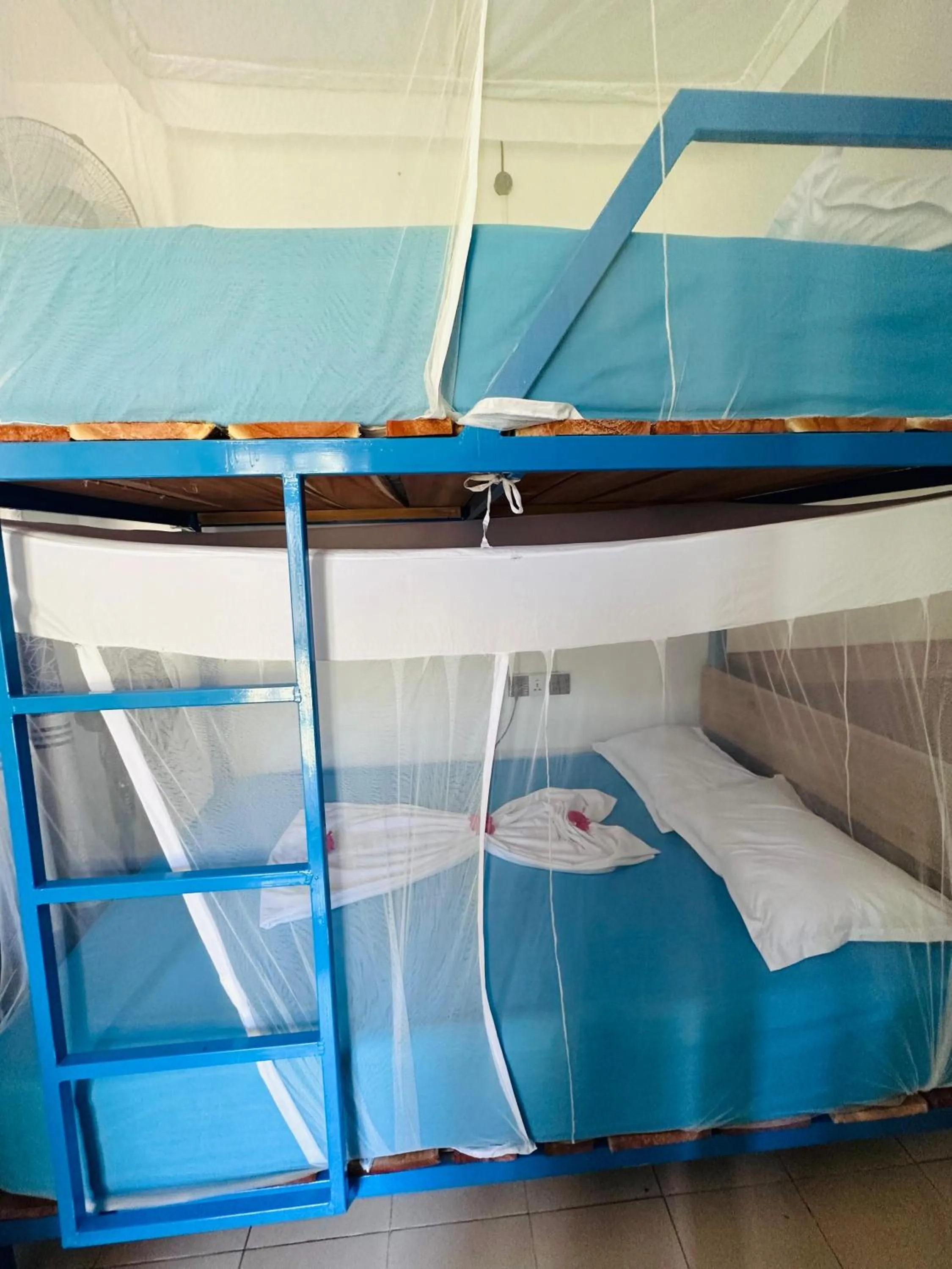 bunk bed, Bed in SURF N SPICE - HIRIKETiYA