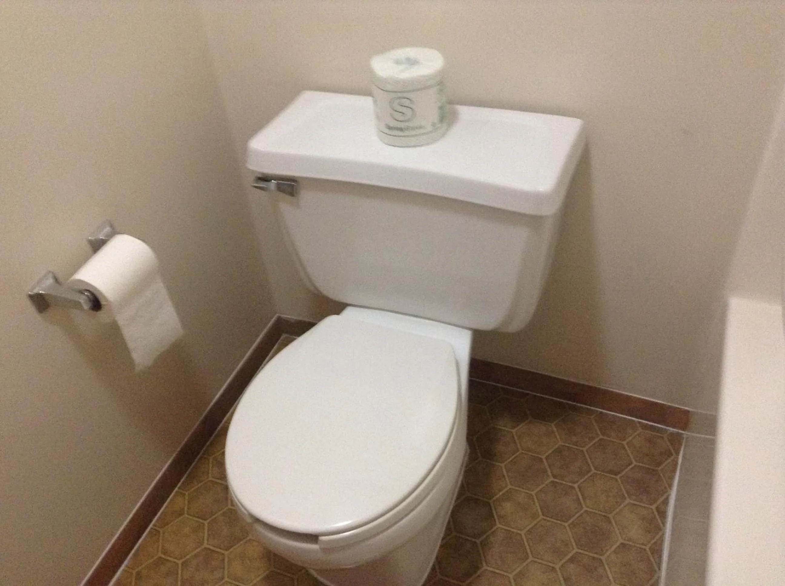 Toilet in Downtown Motel