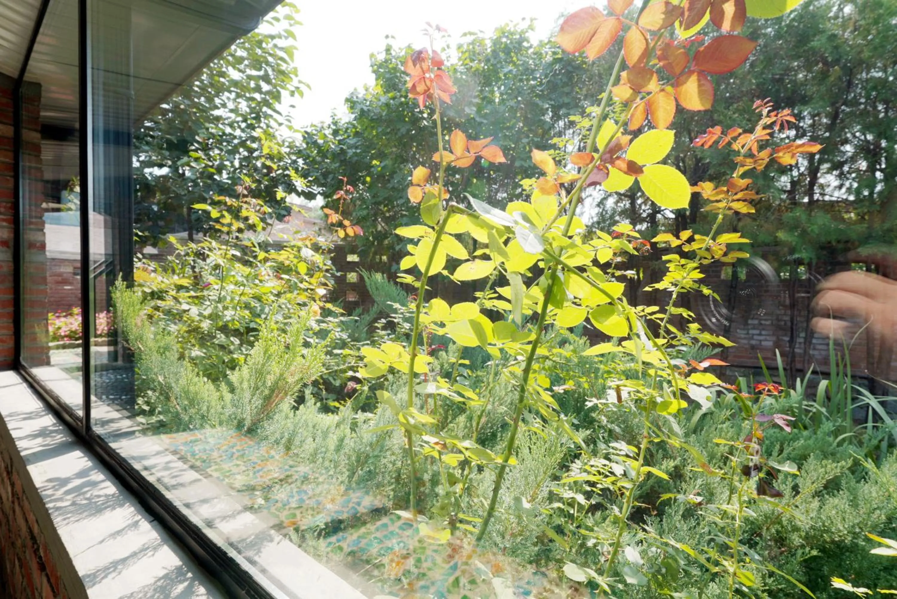 Garden view in Brickyard Retreat at Mutianyu Great Wall Adjoin to Mutianyu Great Wall - Room with the View of Great Wall - Jacuzzi with the View of Great Wall - Vehicle Shuttle Service - International Catering - SPA& Nail Beauty Facilities