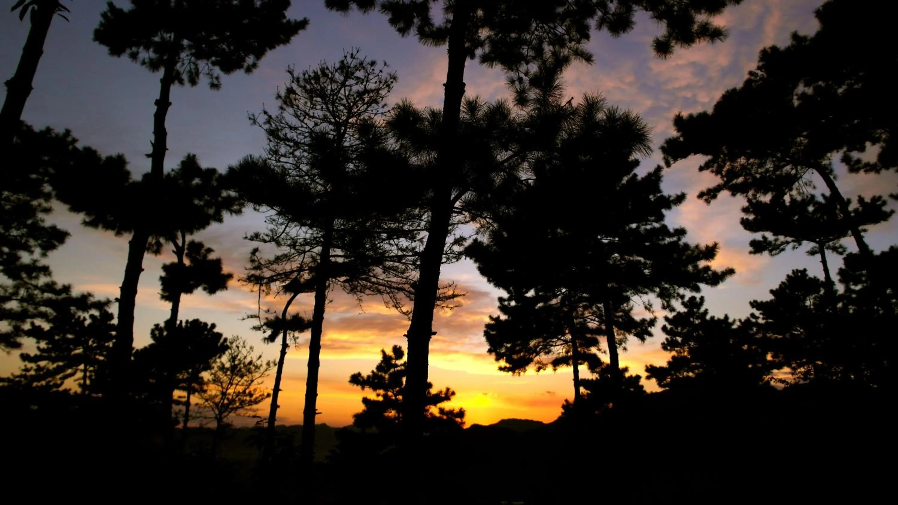 Natural landscape in Brickyard Retreat at Mutianyu Great Wall Adjoin to Mutianyu Great Wall - Room with the View of Great Wall - Jacuzzi with the View of Great Wall - Vehicle Shuttle Service - International Catering - SPA& Nail Beauty Facilities