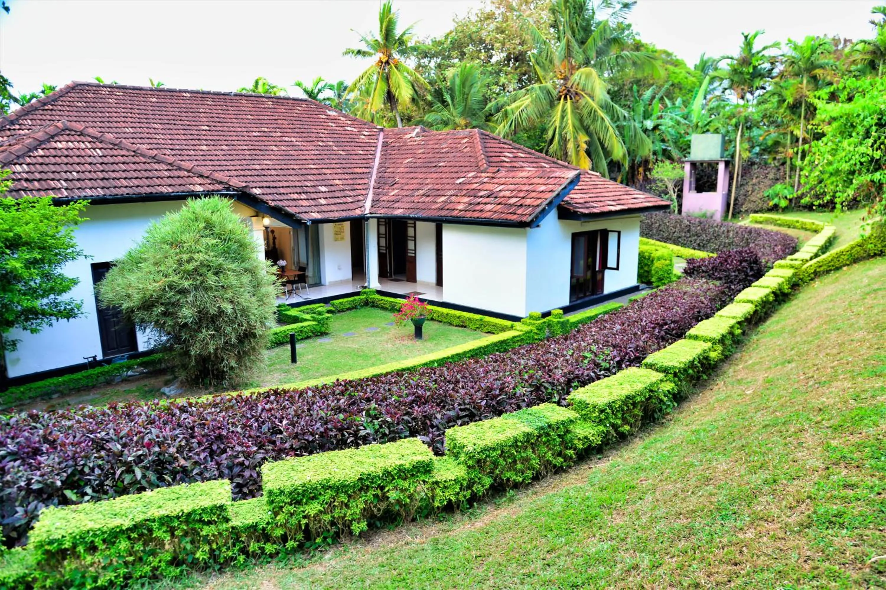 Garden in Camellia Dwelling