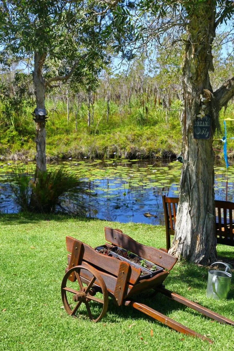 Garden in Salamander Bay Bed and Breakfast