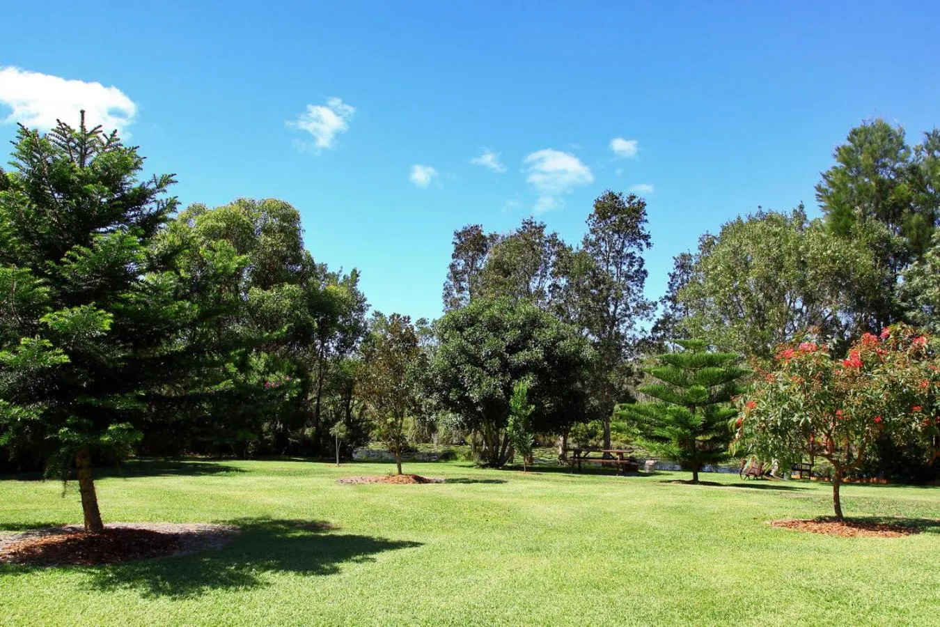 Garden in Salamander Bay Bed and Breakfast