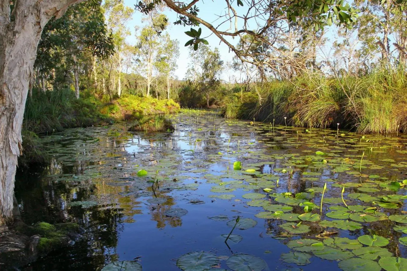 Salamander Bay Bed and Breakfast