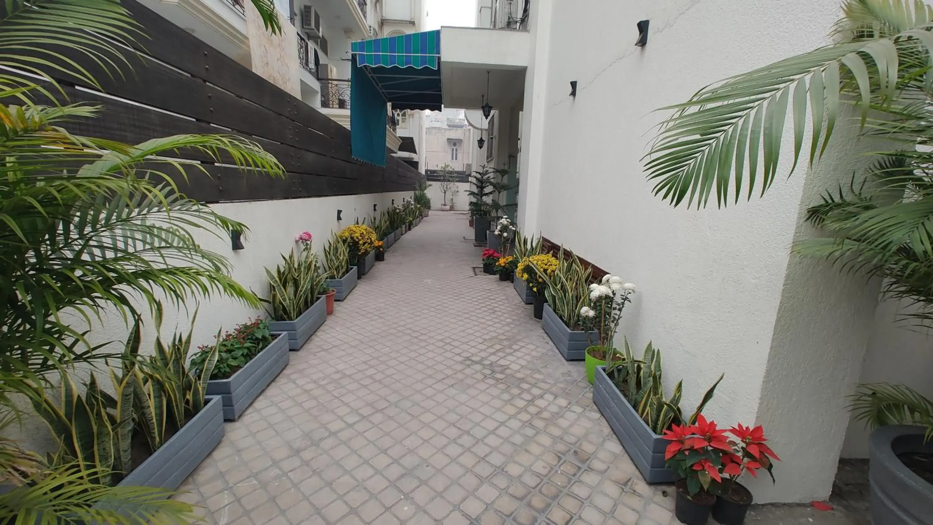 Property building in Saltstayz Thyme Sukhdev Vihar, New Delhi Property building in Saltstayz Thyme Sukhdev Vihar, New Delhi