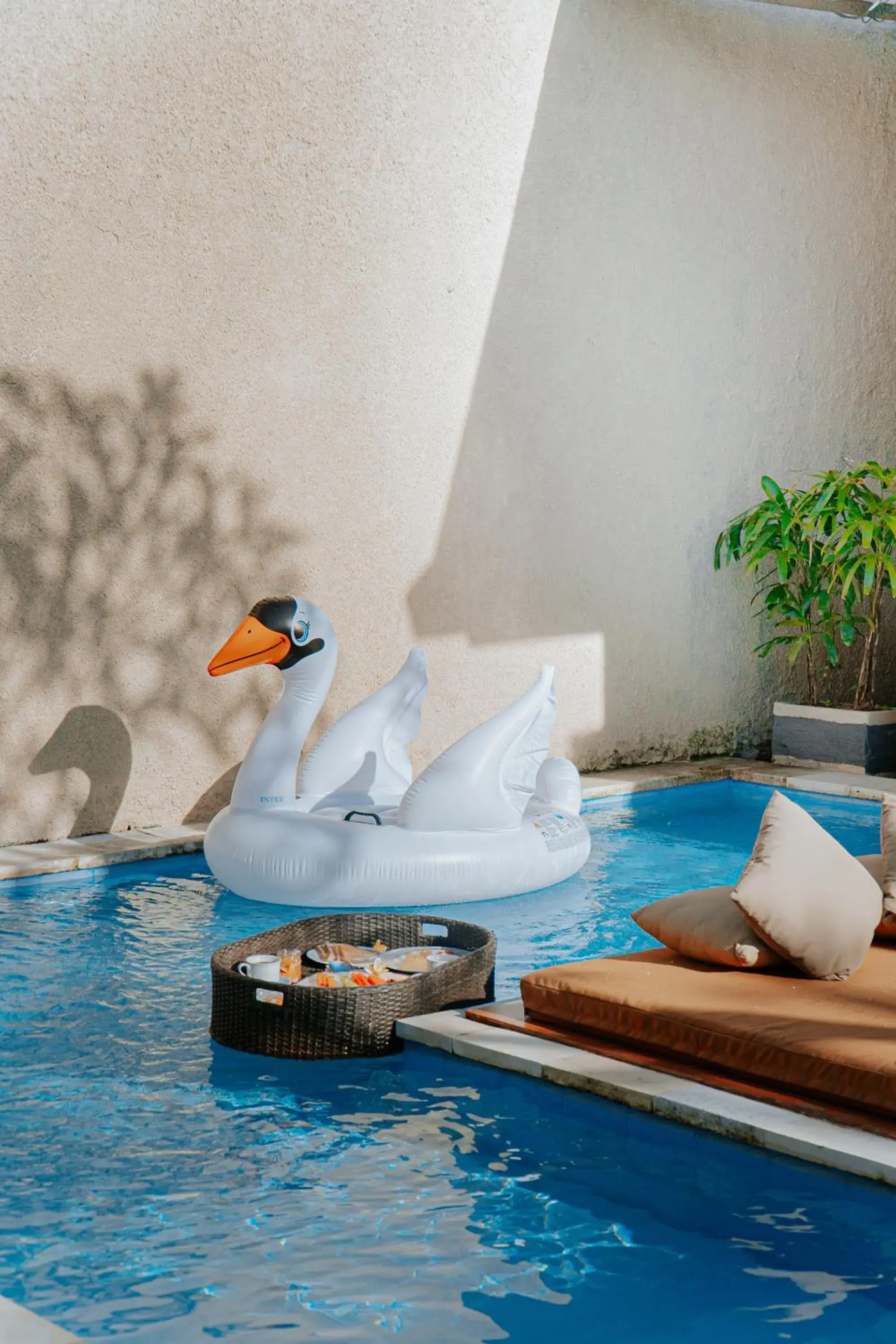 Swimming pool in Luxotic Private Villa and Resort Swimming pool in Luxotic Private Villa and Resort