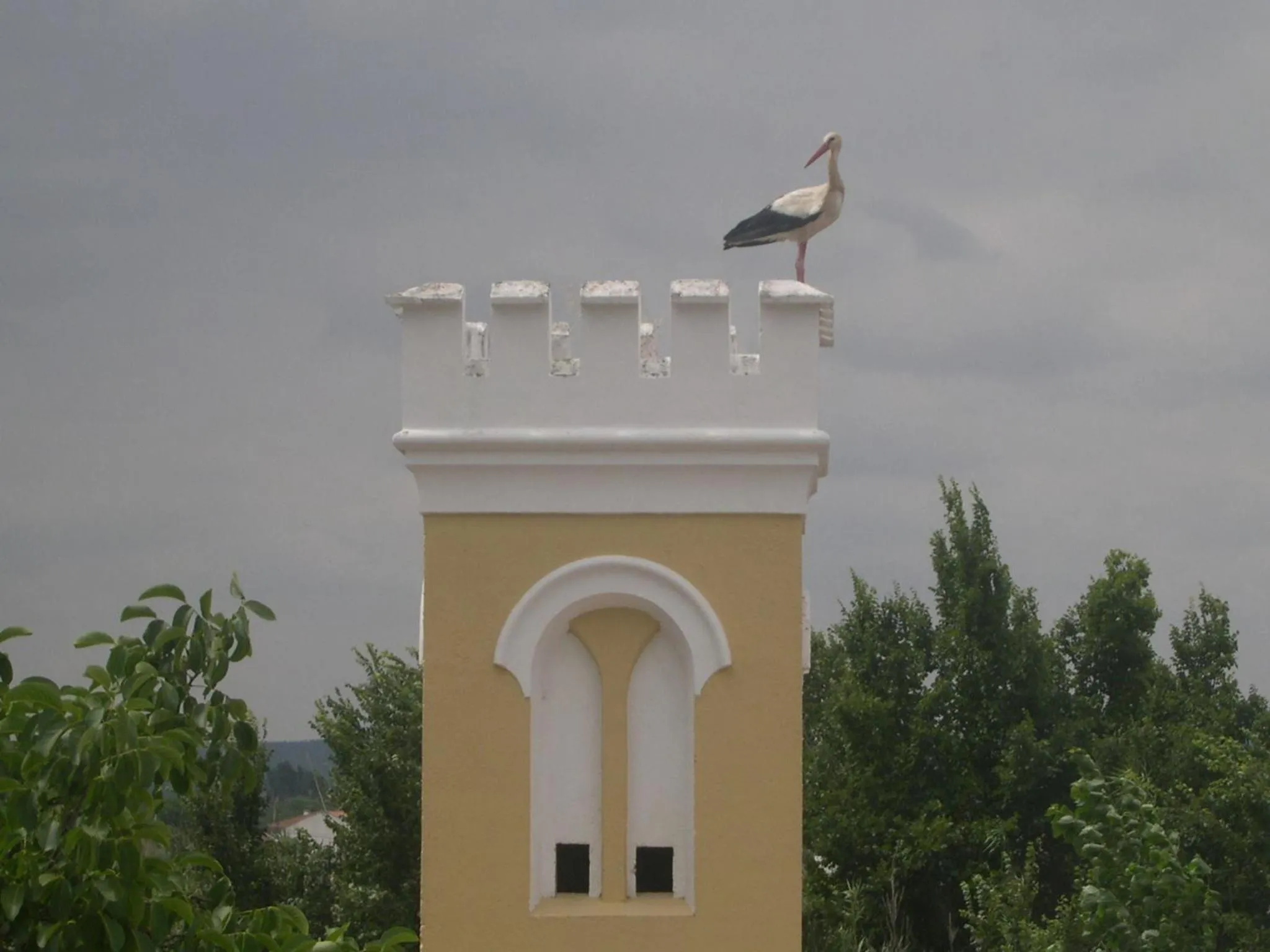 Animals in Quinta de Coalhos TH