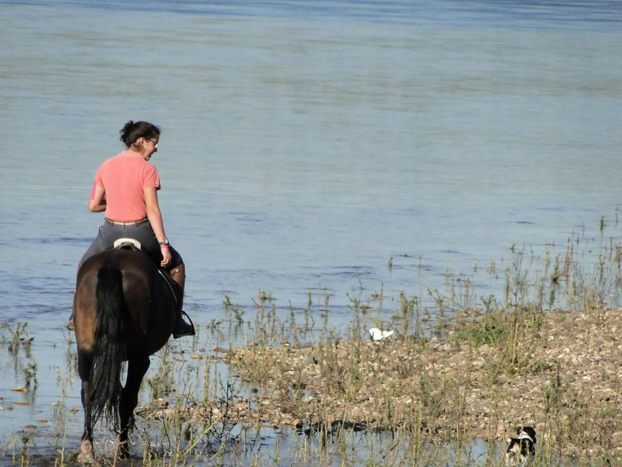 Horse-riding in Quinta de Coalhos TH
