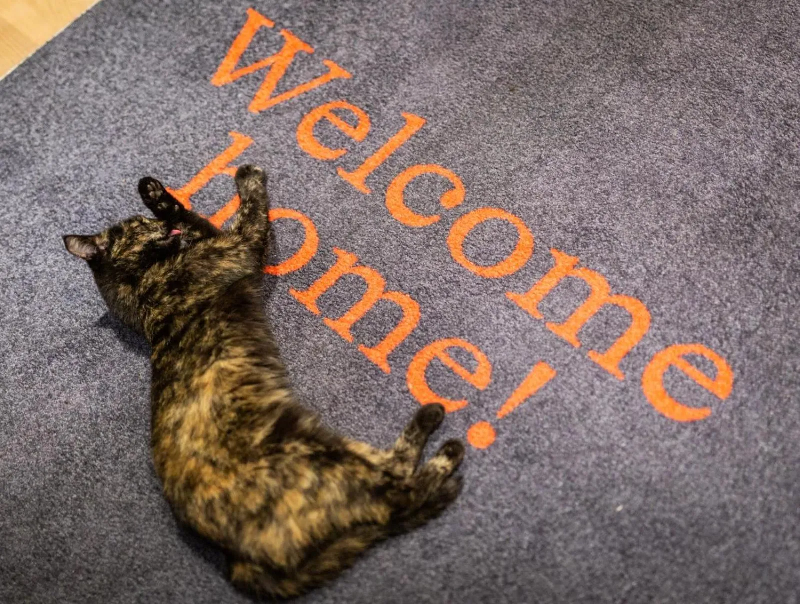 Facade/entrance in Goldstück - Adults Only