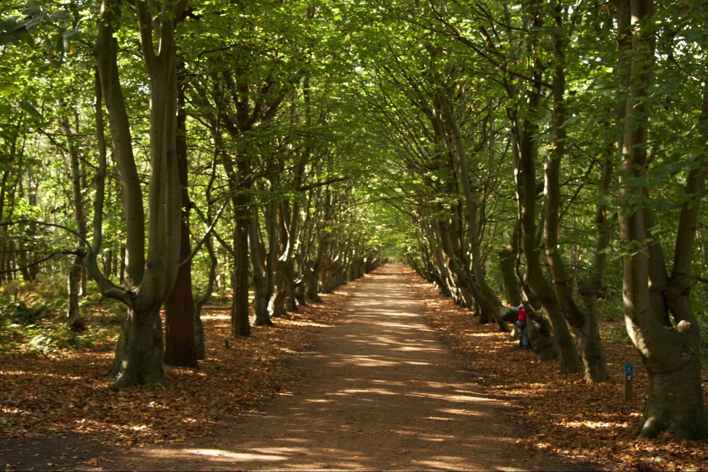 Area and facilities in Strandhotel Bos en Duin