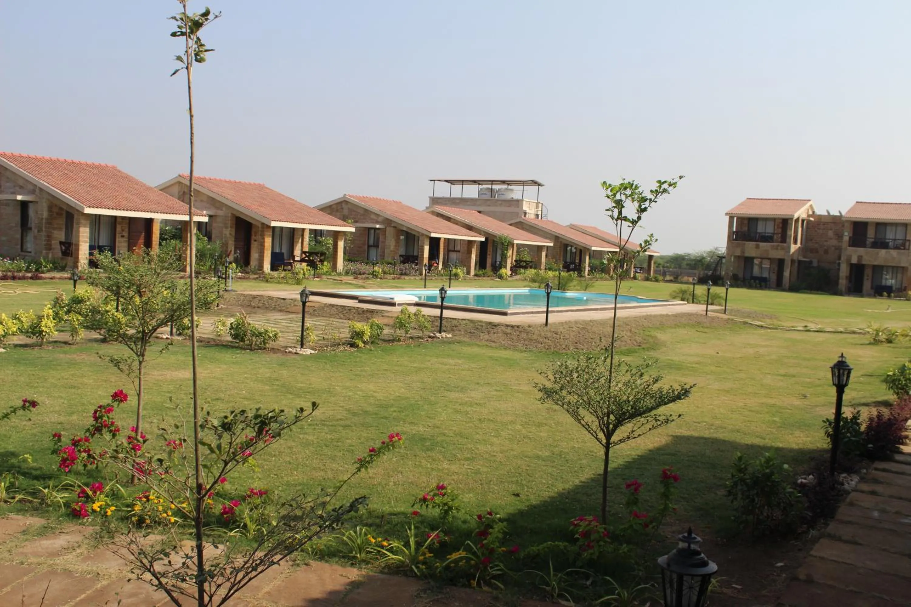 The Blackbuck Trails Velavadar