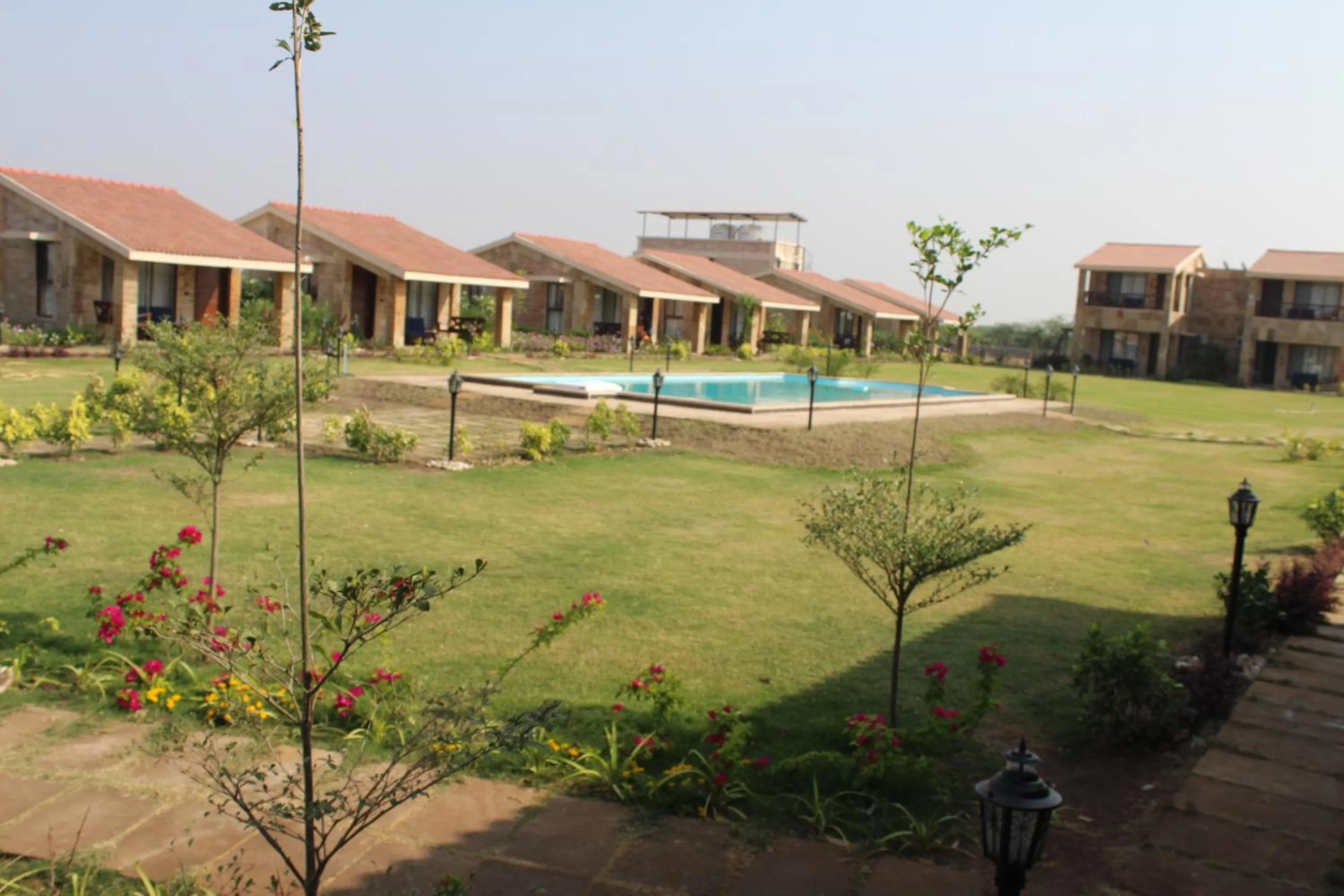 The Blackbuck Trails Velavadar