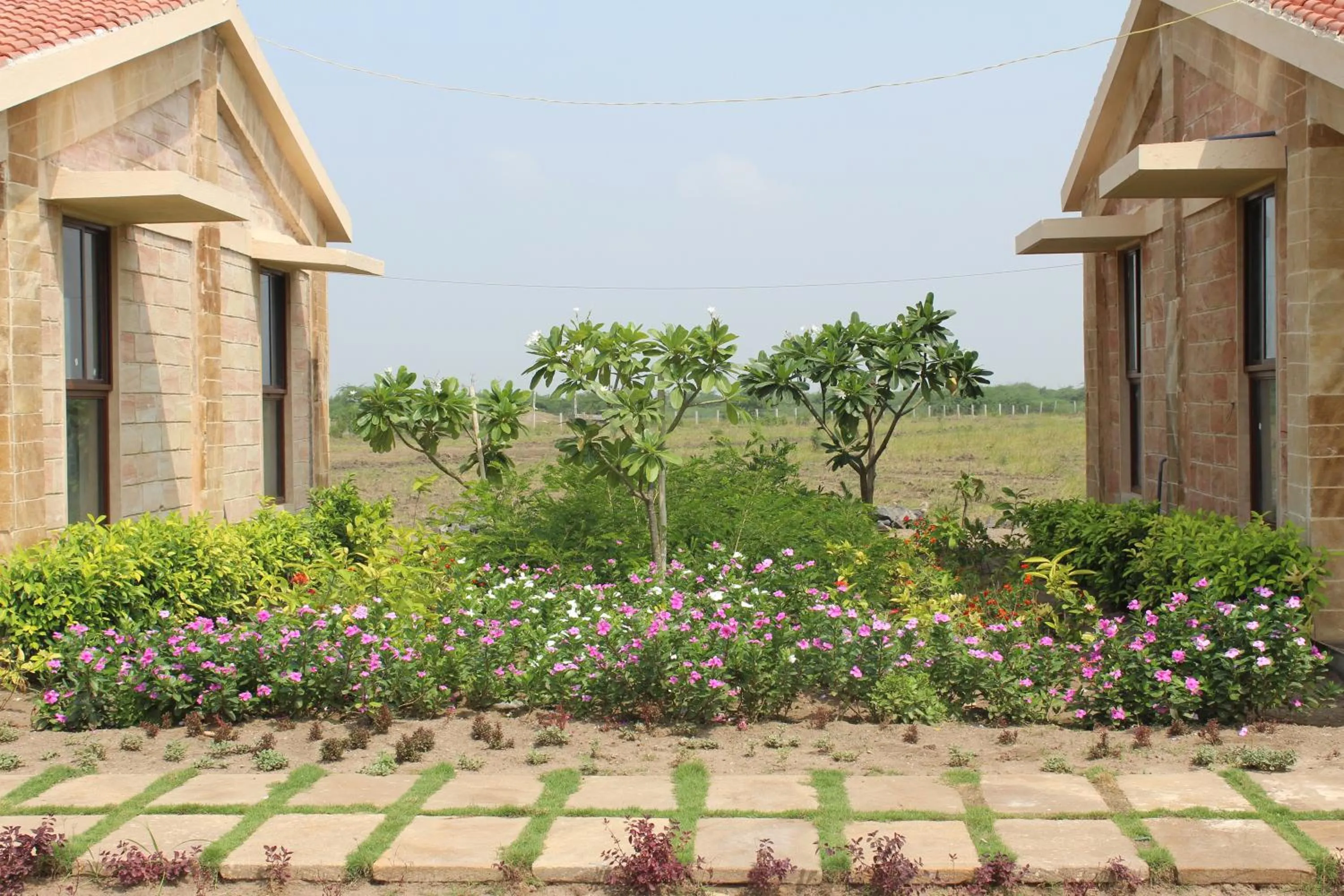 The Blackbuck Trails Velavadar