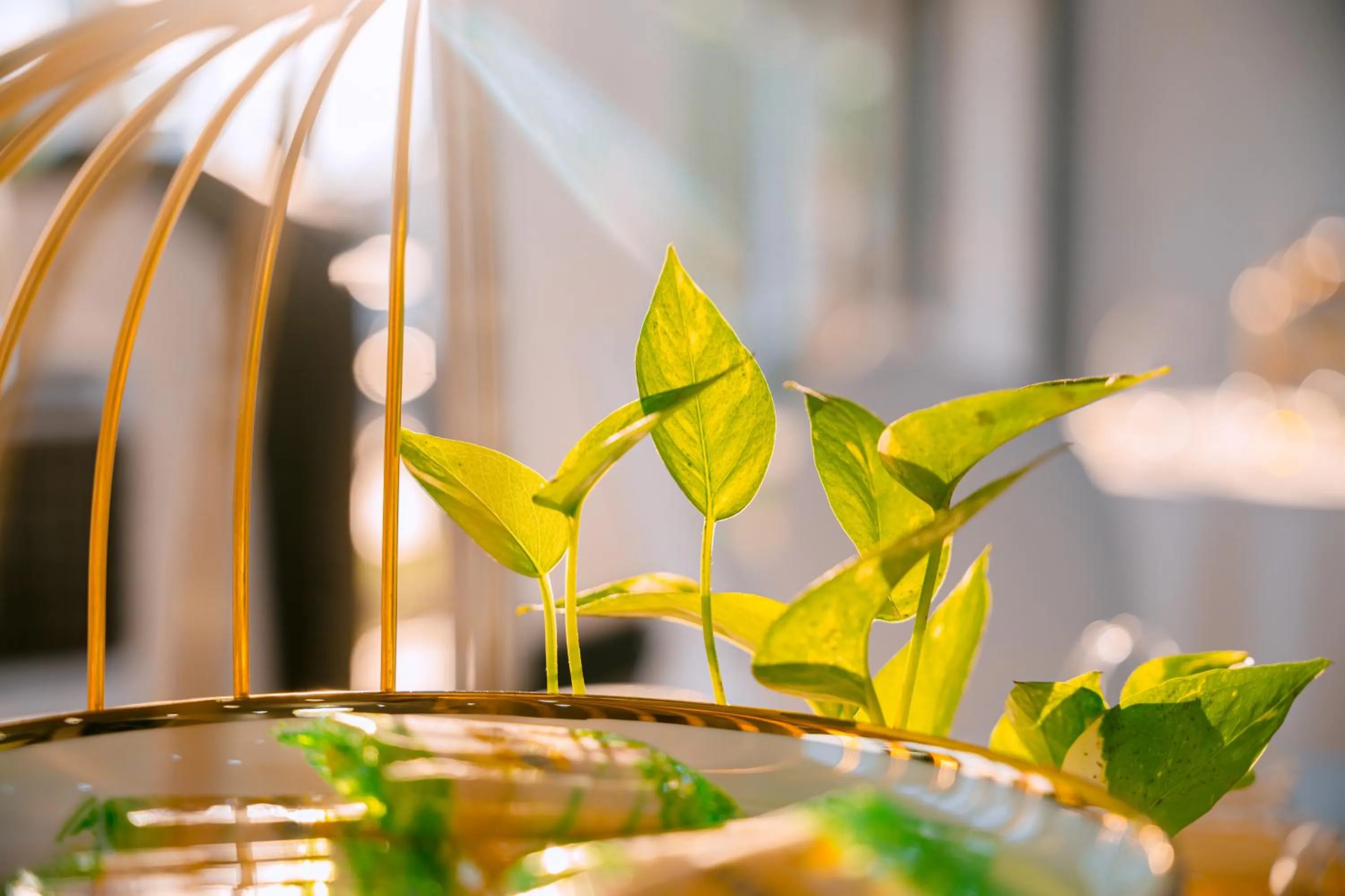 Decorative detail in MAY PLAZA HOTEL