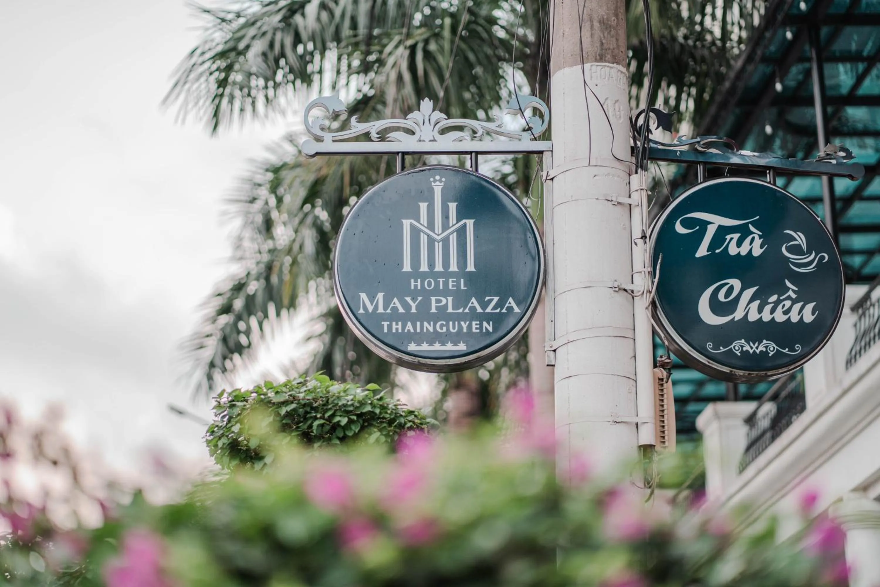 Day in MAY PLAZA HOTEL