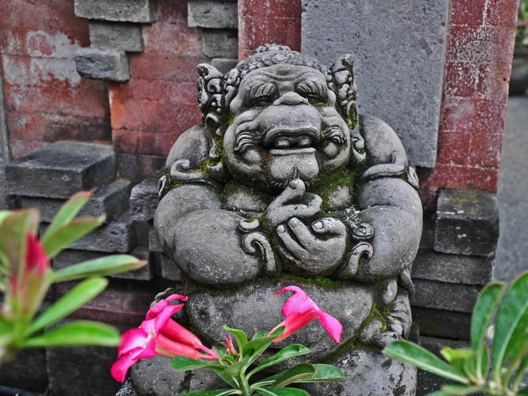 On site in Bucu Guest House