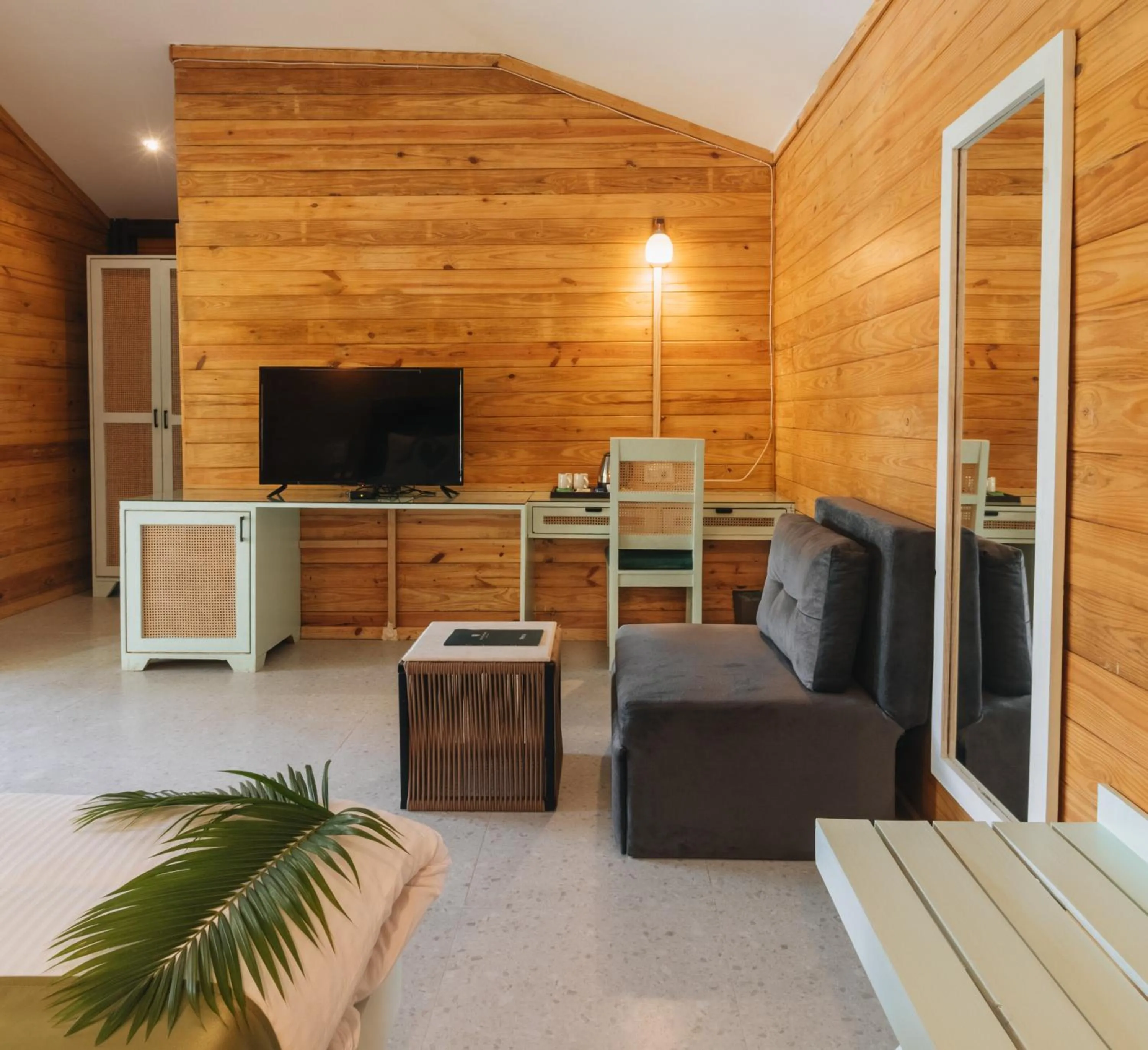 TV and multimedia in Stone Wood Premier Dandeli