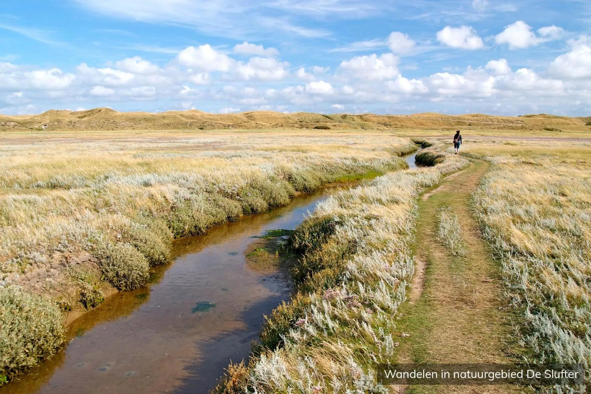 Natural landscape in Hotel Molenbos Texel