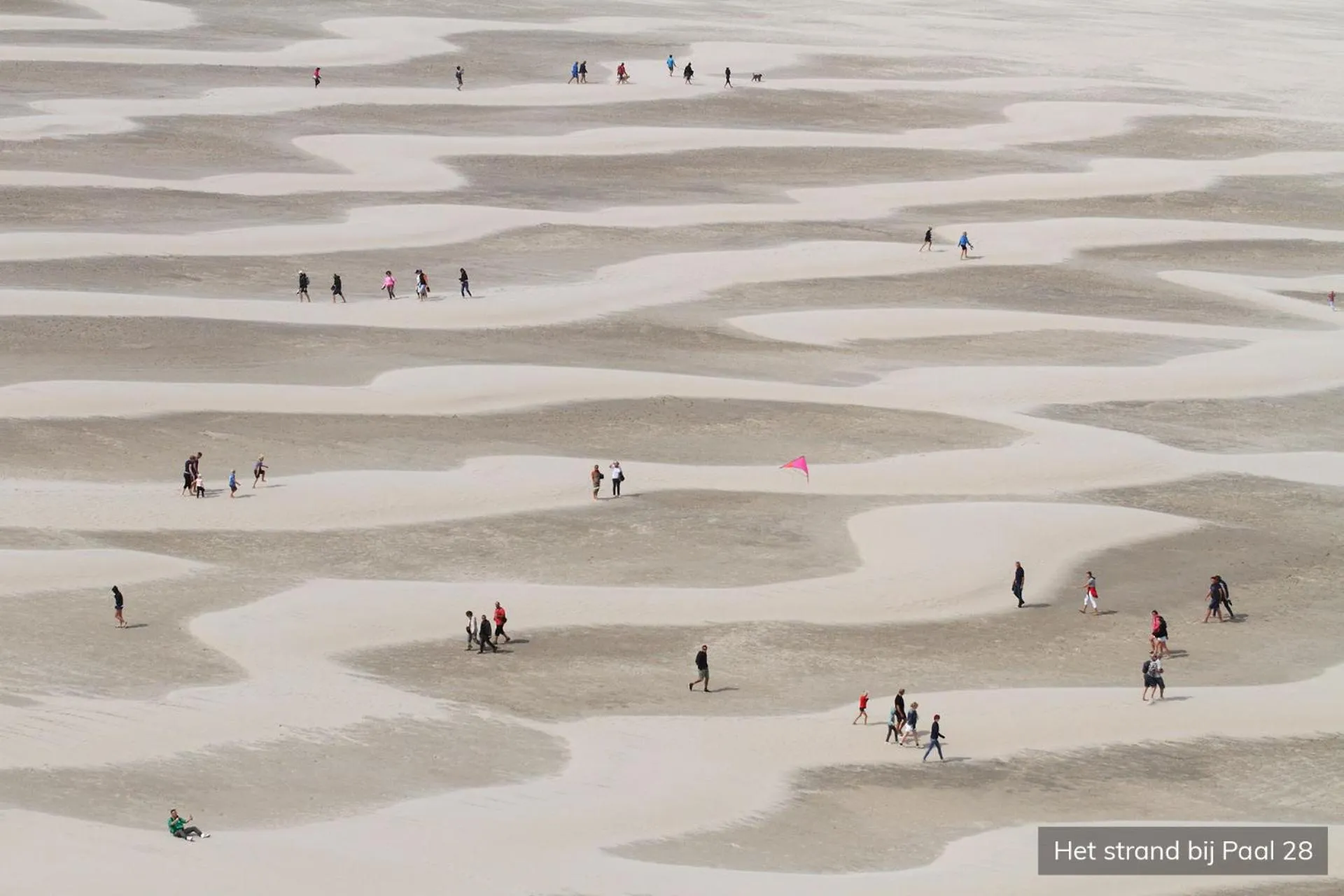 Natural landscape in Hotel Molenbos Texel