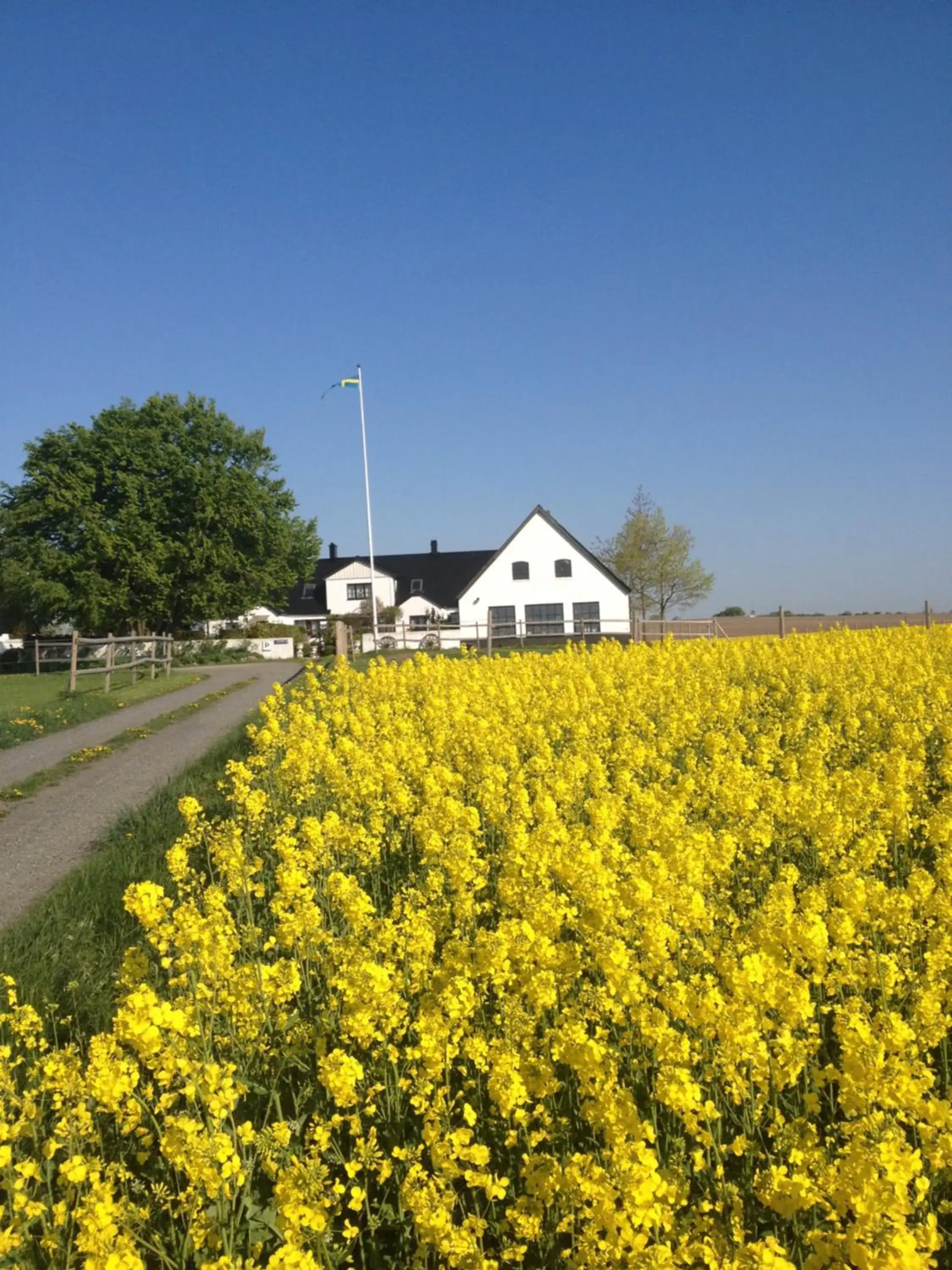 Arnhög Farm Arnhög Farm