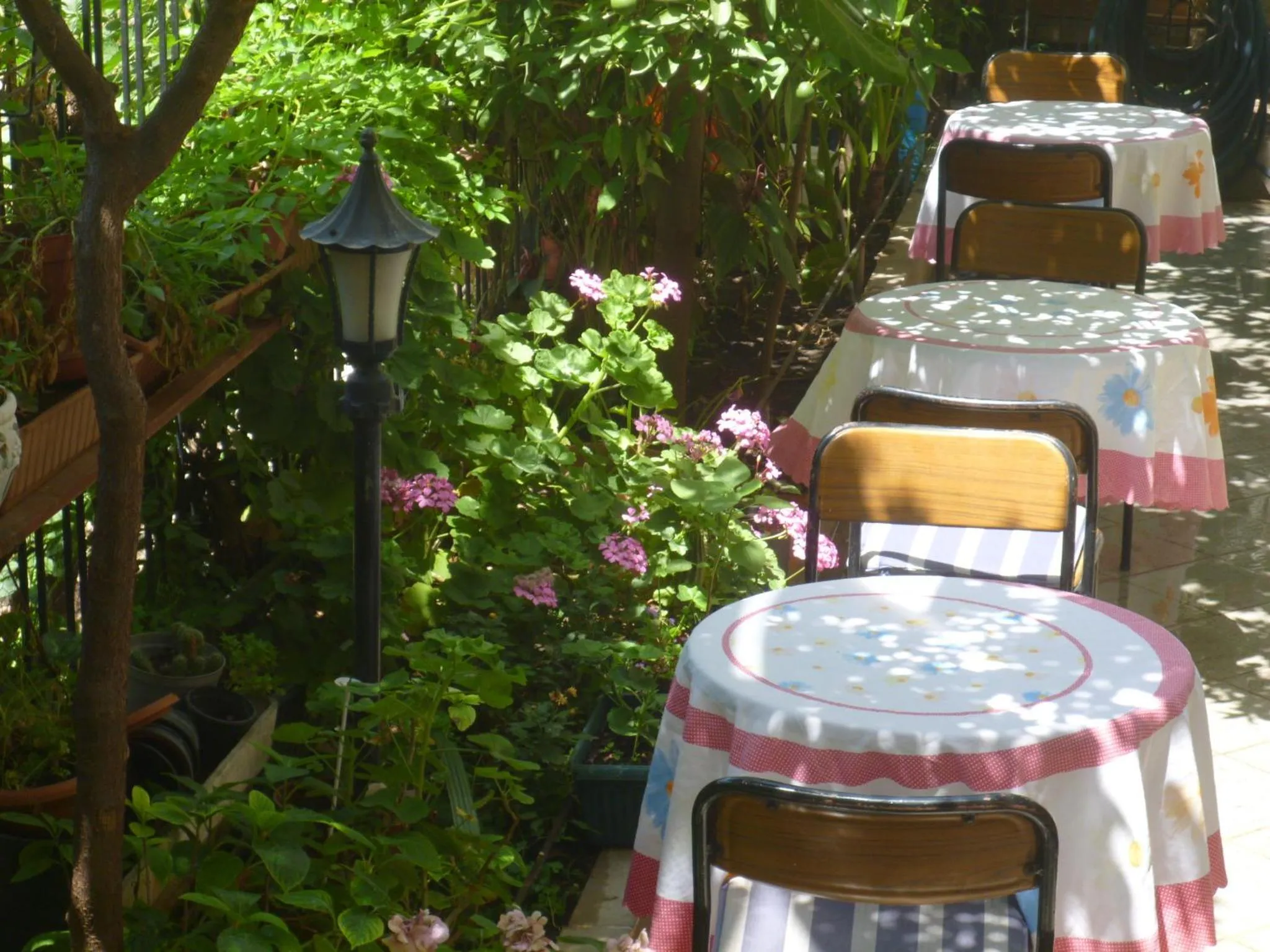 Garden in Cicek Hotel & Apartments