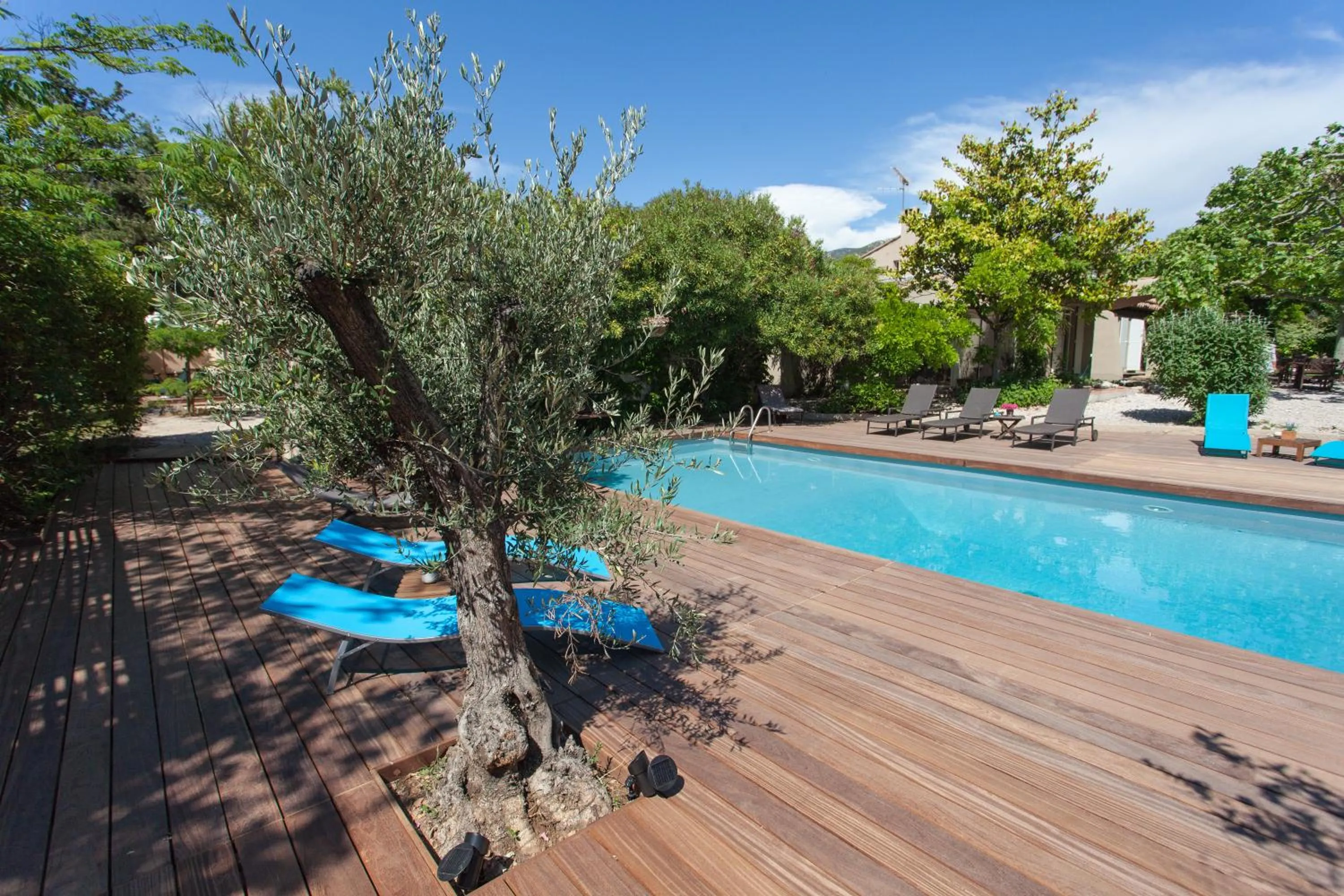 Swimming pool in Le Mas de Bertagne