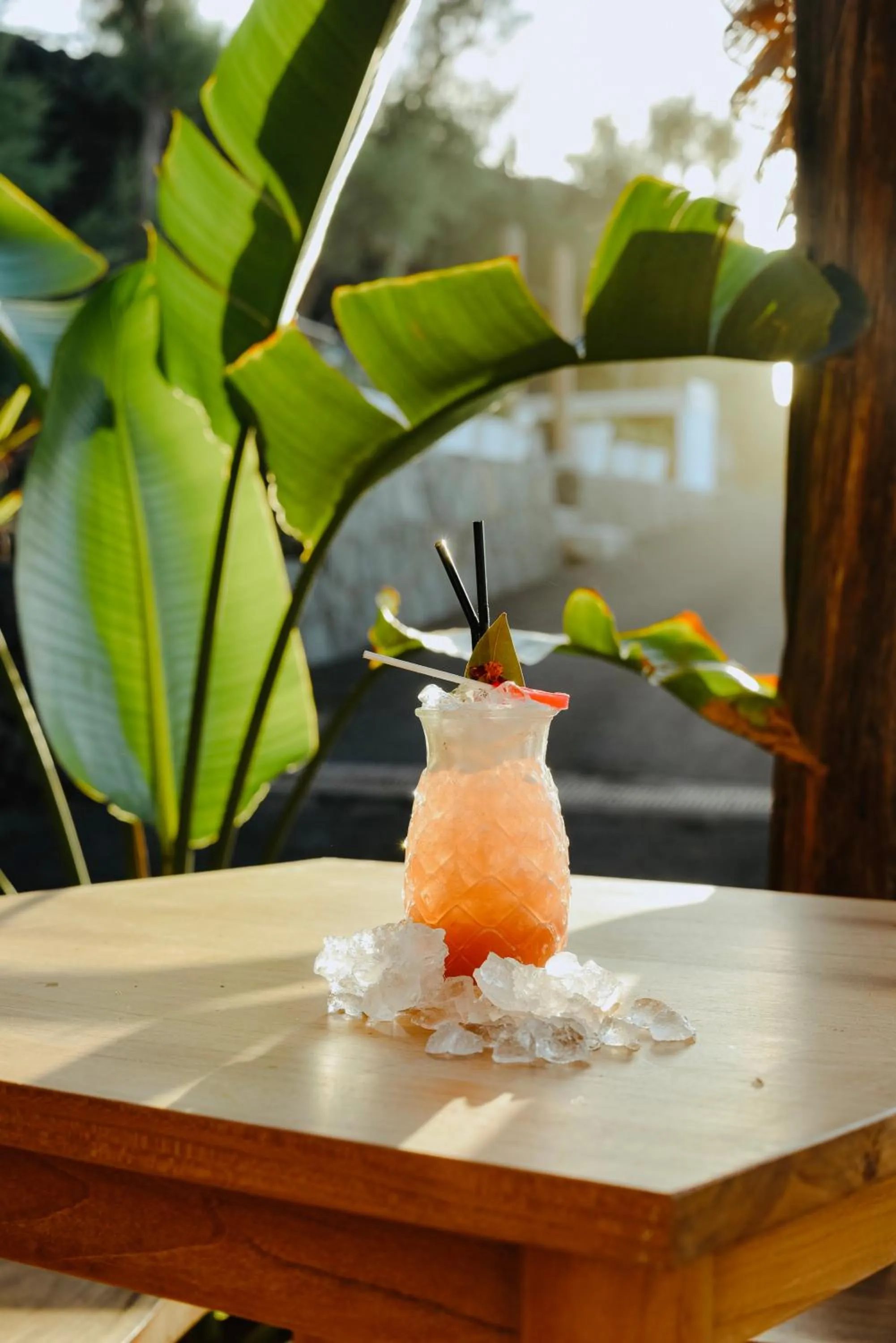 Food and drinks in Boutique Eco Hotel Costa Mágica